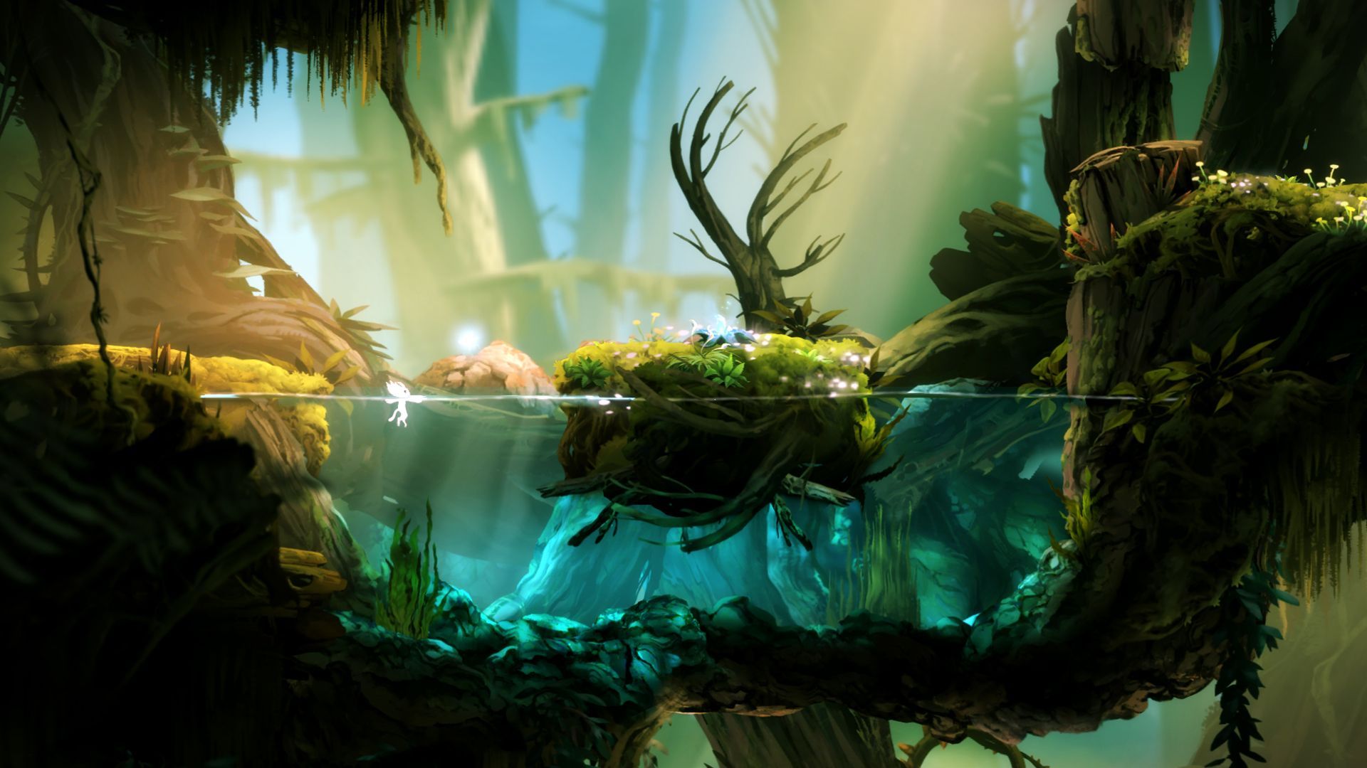 Ori and the Blind Forest Wallpaper. Forest games, Environment concept art, Forest wallpaper