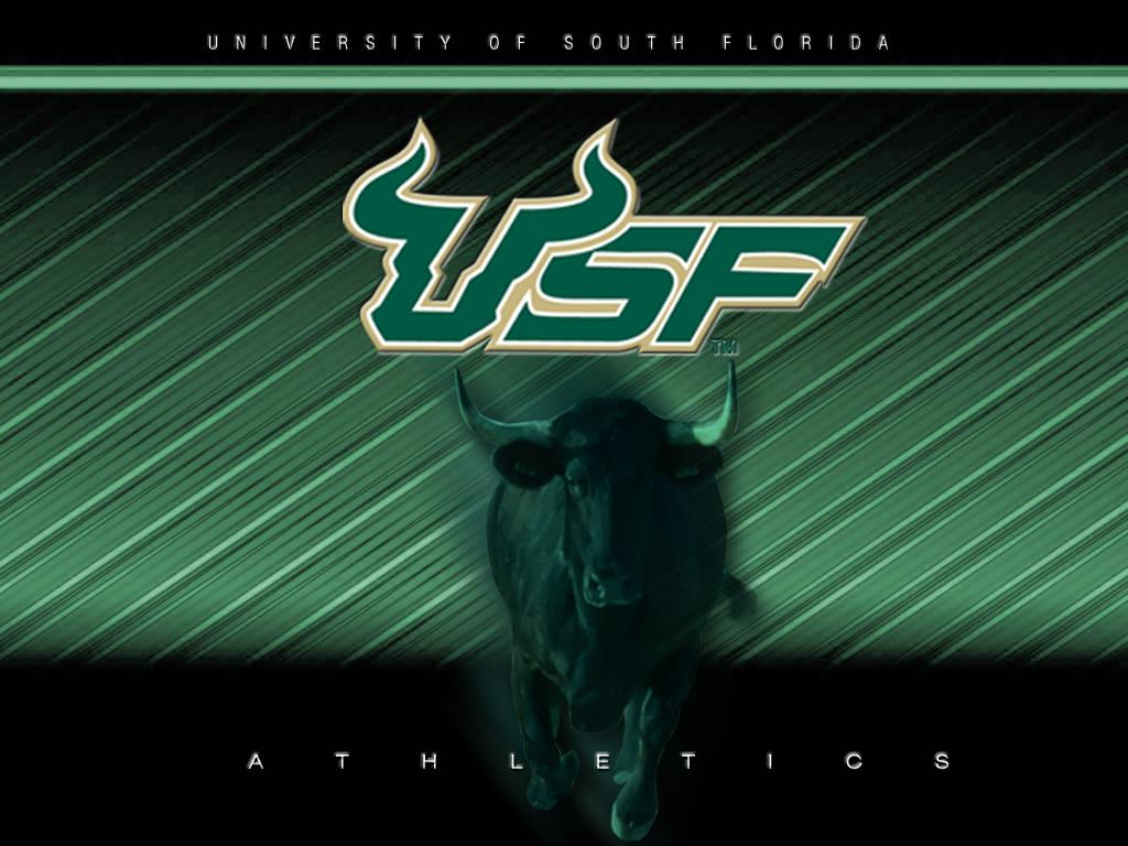 USF Bulls Wallpaper