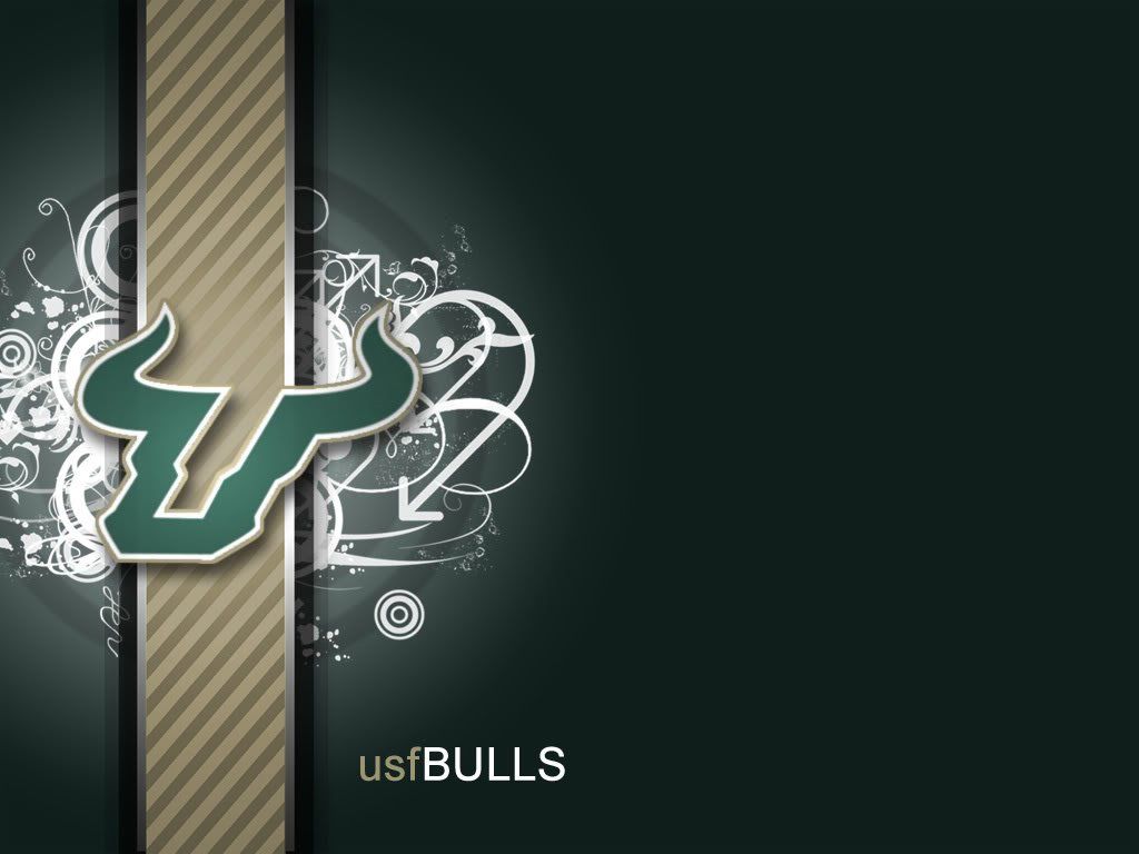 USF Bulls Wallpaper