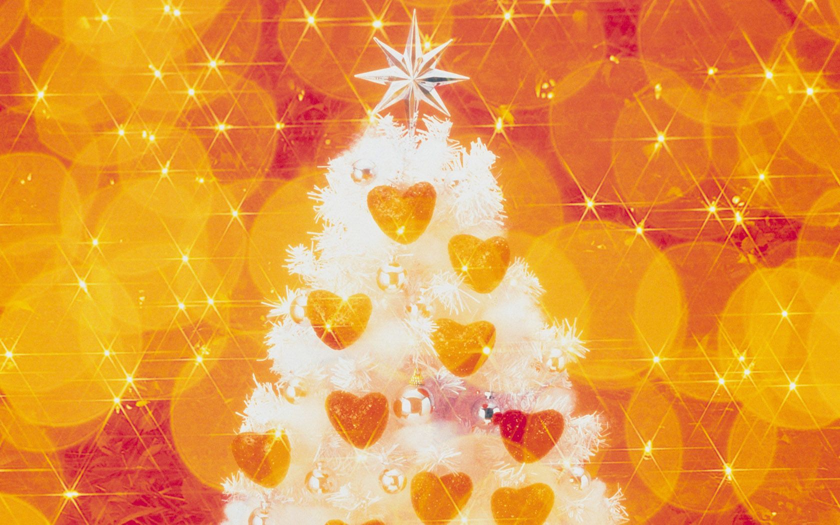 1680*1050 Widescreen Christmas Decoration Christmas light Ornament Wallpaper 1680x1050 NO.2 Desktop Wallpaper