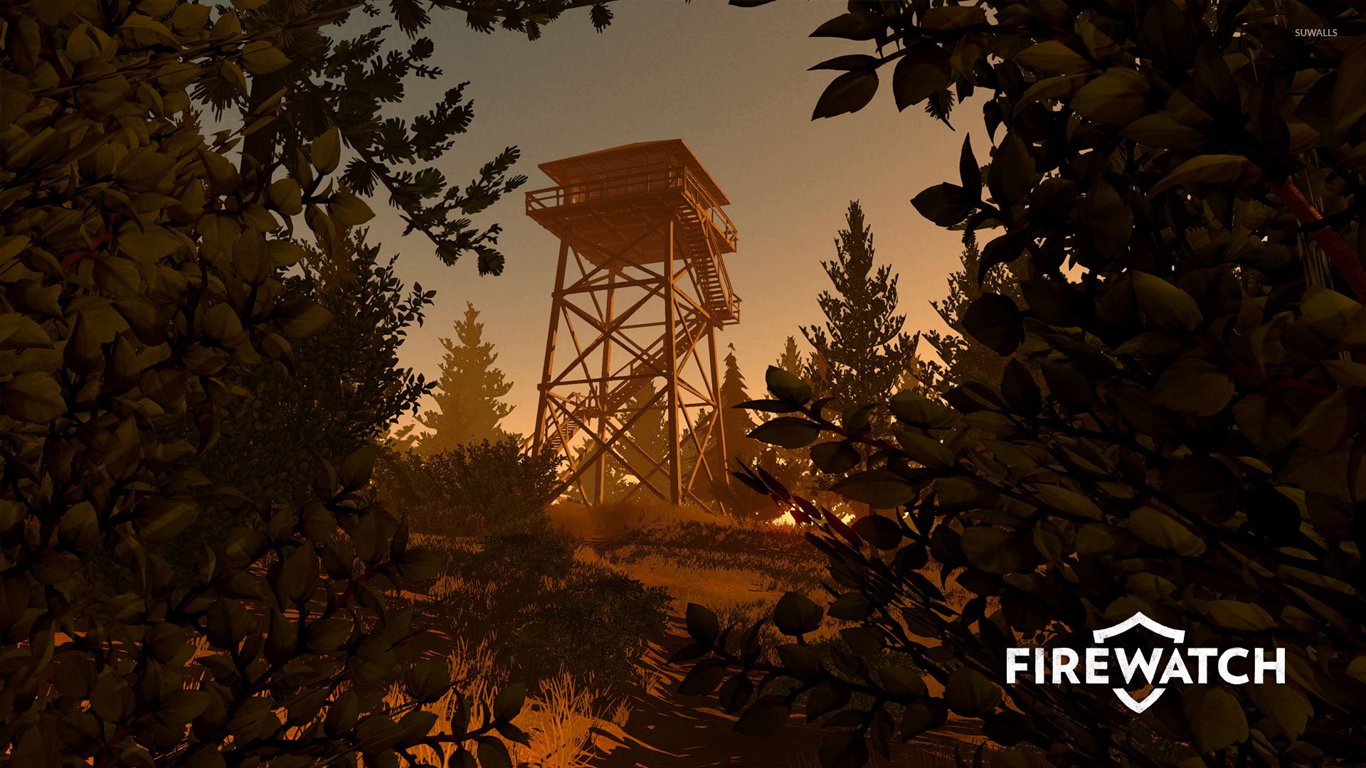 Fire lookout tower seen from the forest wallpaper wallpaper