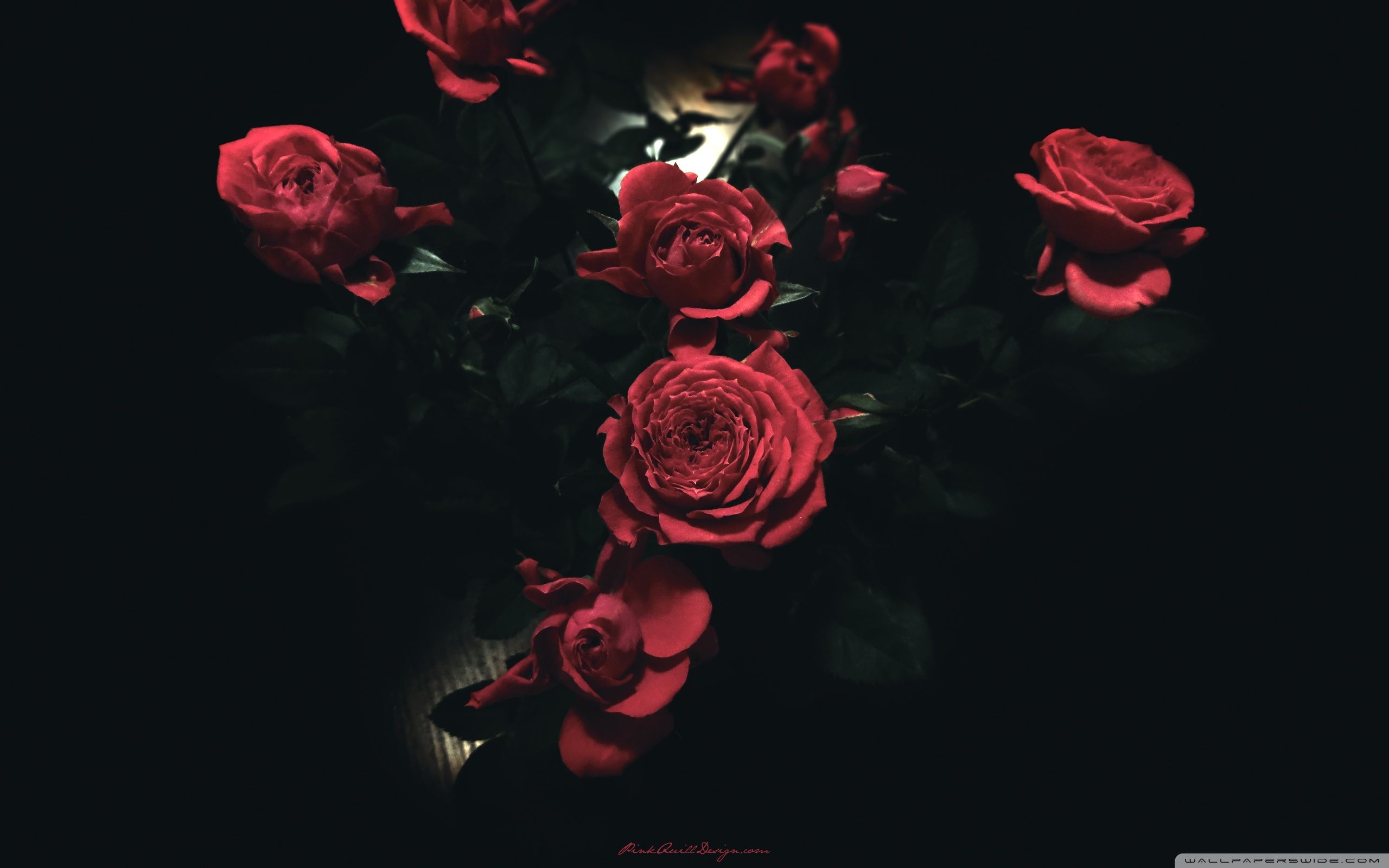 Dark Red Roses Tumblr Data