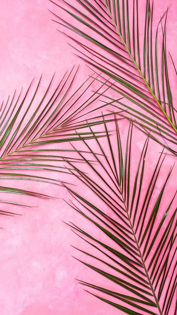 Pink Baddie Wallpaper iPhone
