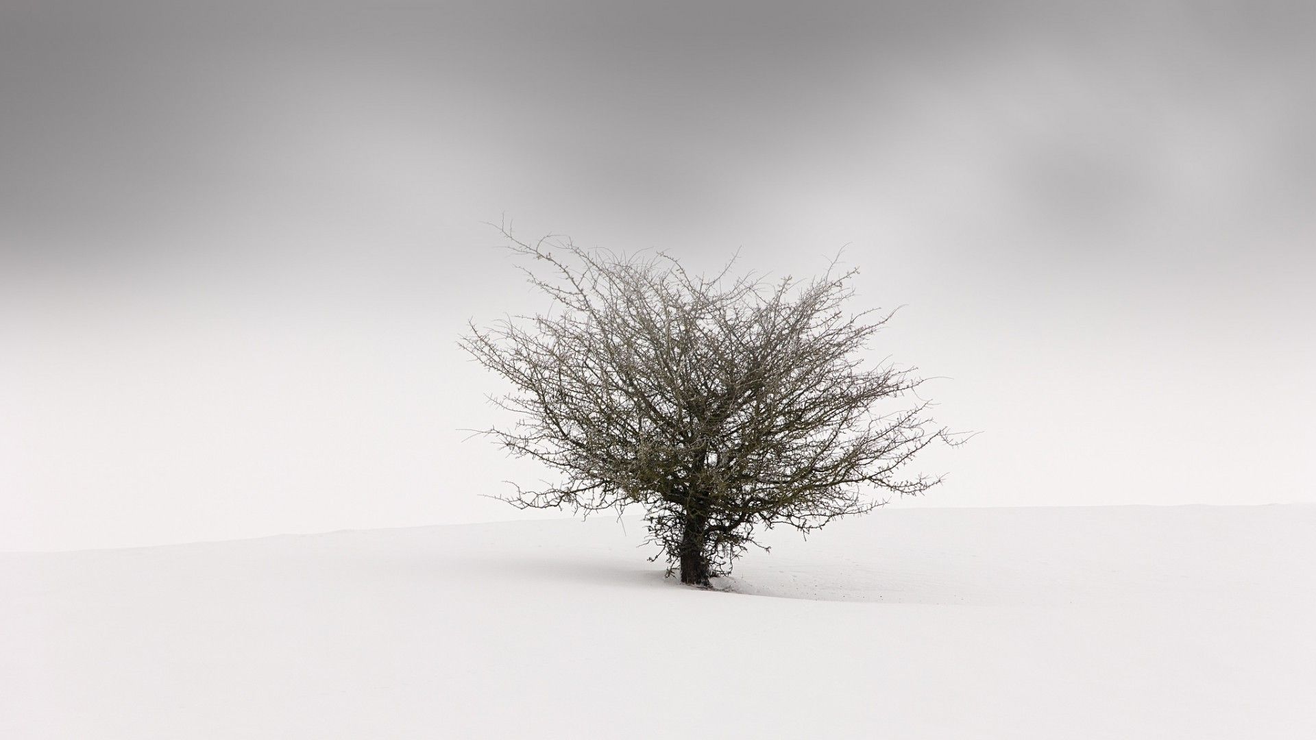 Minimalist Desktop Wallpaper HD Winter