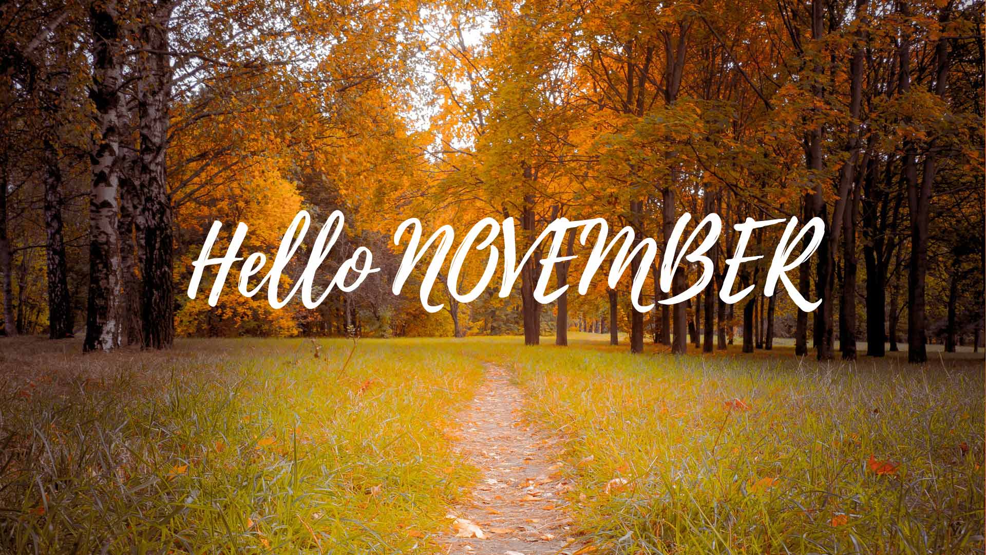 Hello November wallpaper background 2020 for computer free download