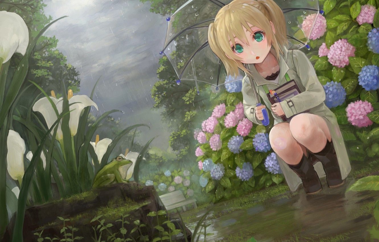 Wallpaper flowers, rain, frog, umbrella, garden, girl, flowerbed image for desktop, section арт