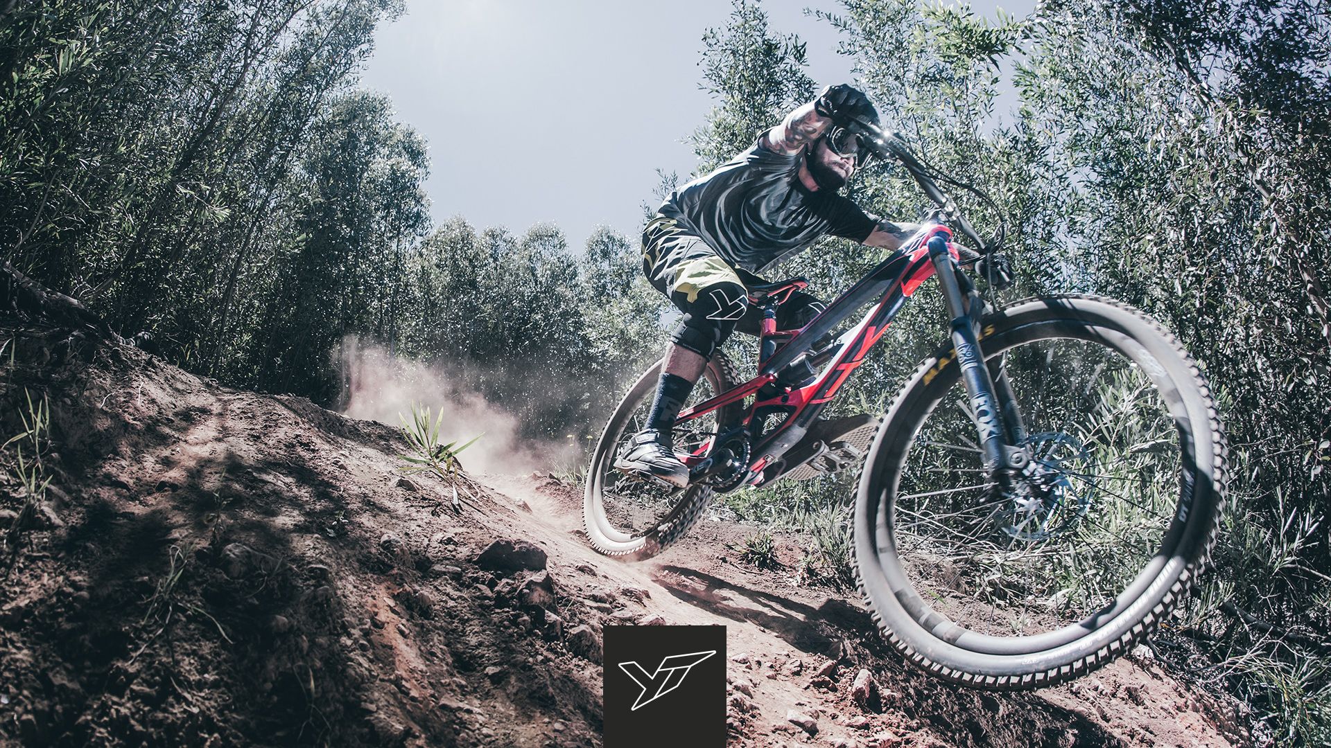 YT Wallpaper. Hoyt Bowhunting Caribou Wallpaper, Jan Fyt Wallpaper and Hoyt Wallpaper