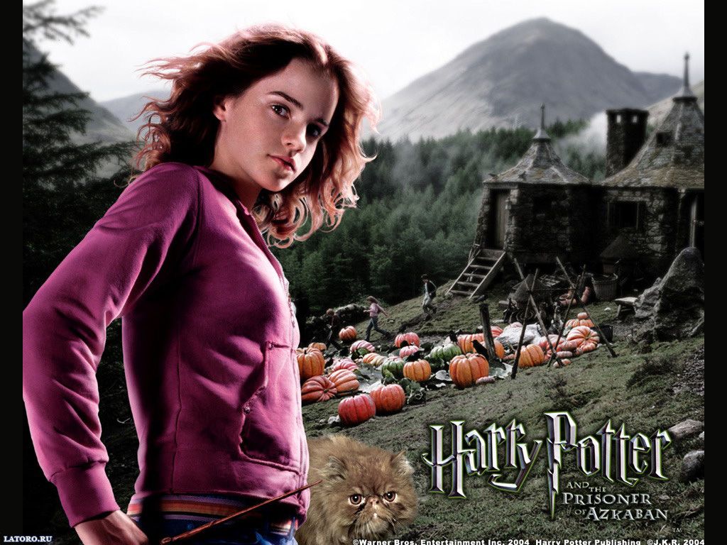 Desktop Wallpaper Free Harry Potter Ron And Hermione 3th Year Wallpaper & Background Download