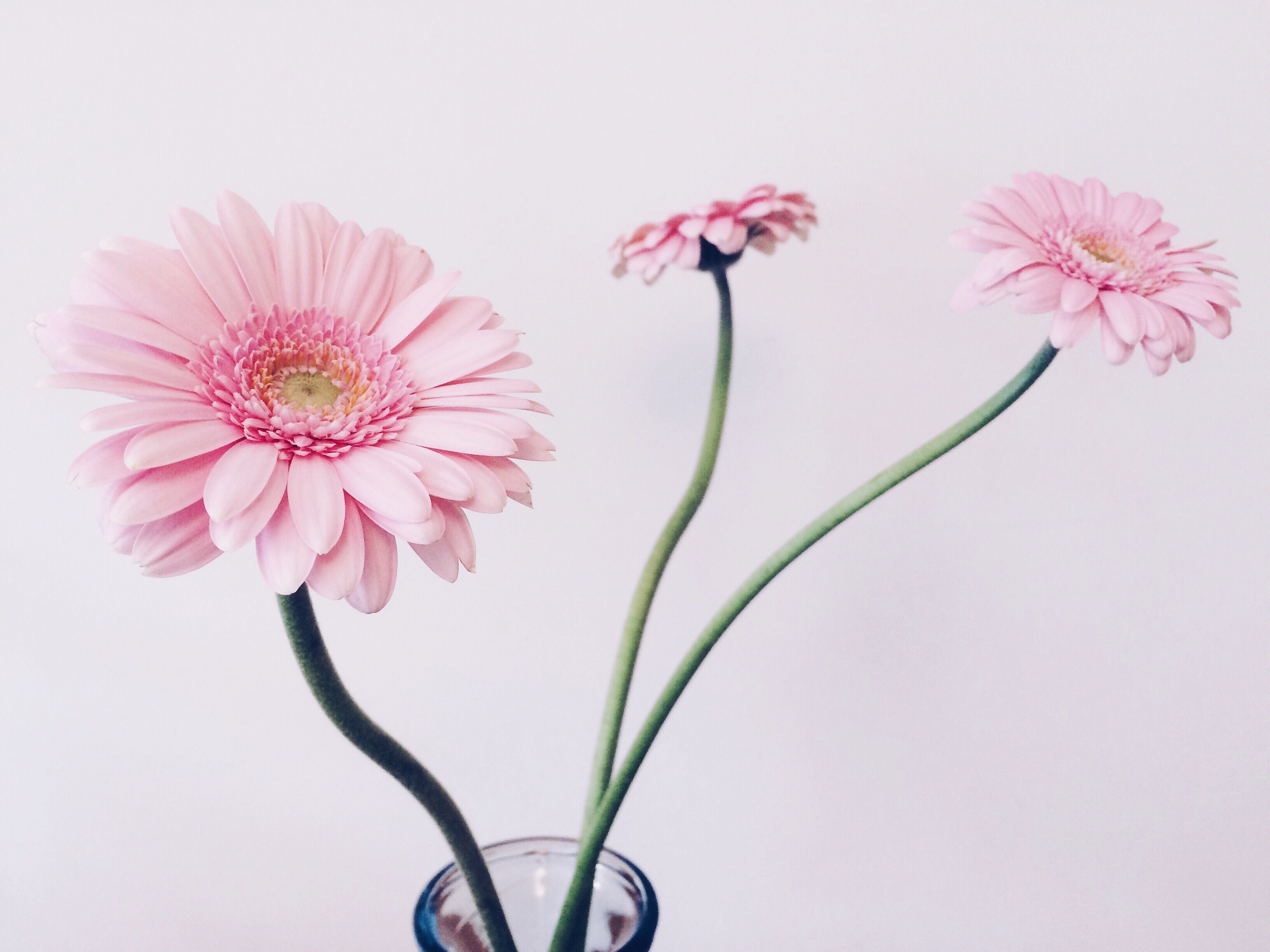 How To Use VSCO Filters To Create Beautiful iPhone Photo
