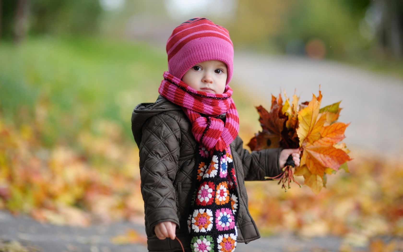 Cute Baby in Autumn Wallpaper in jpg format for free download