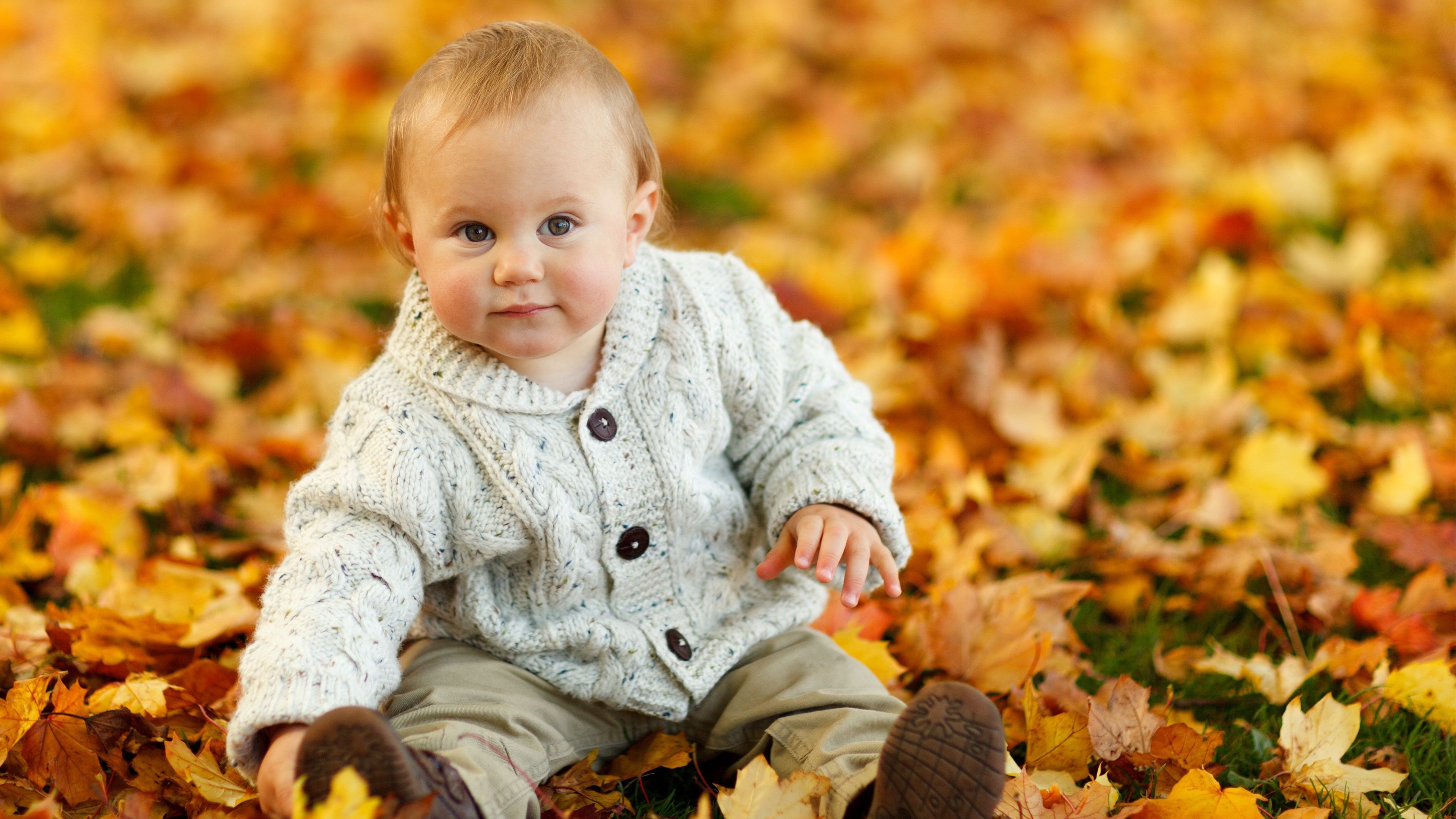 cute baby boy autumn leaves in format pc HD. Free baby stuff, Toddler behavior, Toddler behavior management