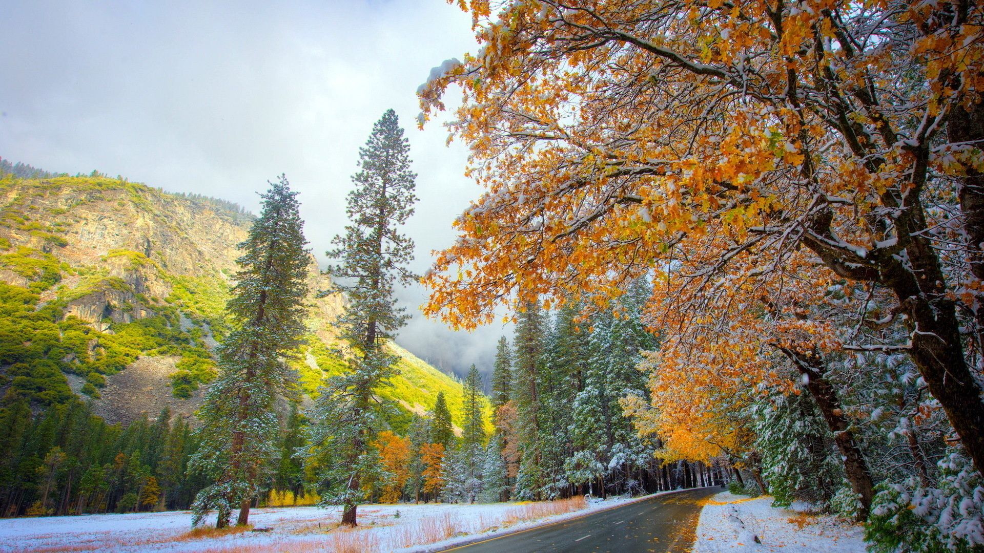 autumn, winter, snow Wallpaper, HD Nature 4K Wallpaper, Image, Photo and Background