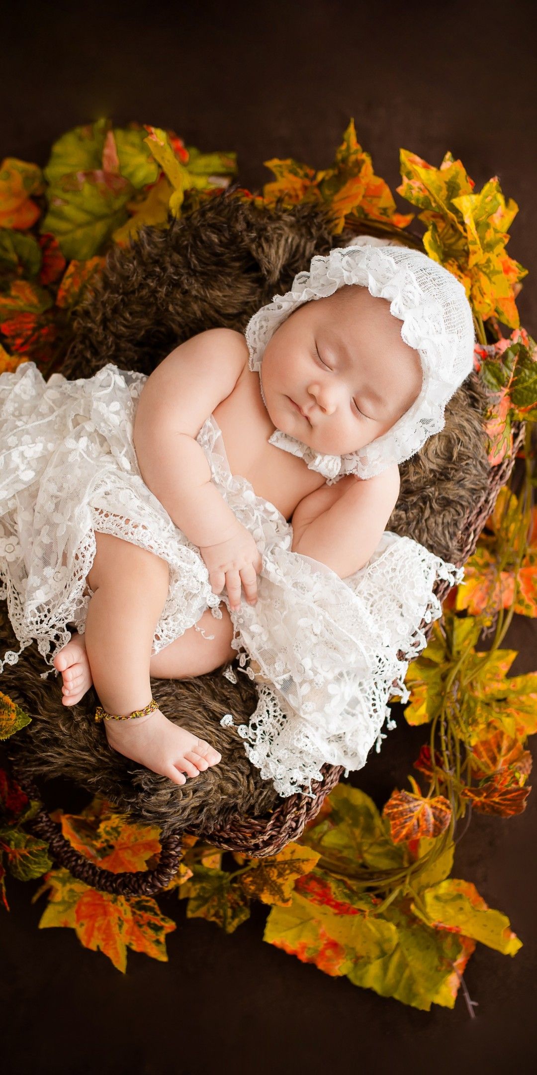 Newborn 4K Wallpaper, White Dress, Fur, Autumn Leaves, Brown, Dark Background, Basket, 5K, Black Dark