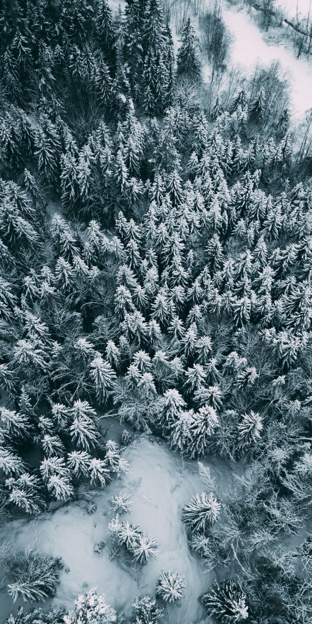 Aerial view, winter, pine trees, frost, 1080x2160 wallpaper. Tree wallpaper iphone, iPhone wallpaper winter, Winter wallpaper