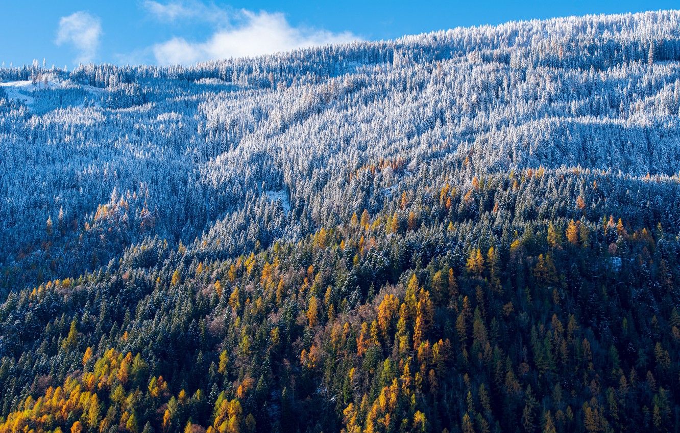 Wallpaper colorful, forest, sky, trees, nature, winter, autumn, snow, landscapes, slope, height, foliage, blur effect, aerial view, 4k ultra HD background, Fall into Winter image for desktop, section природа