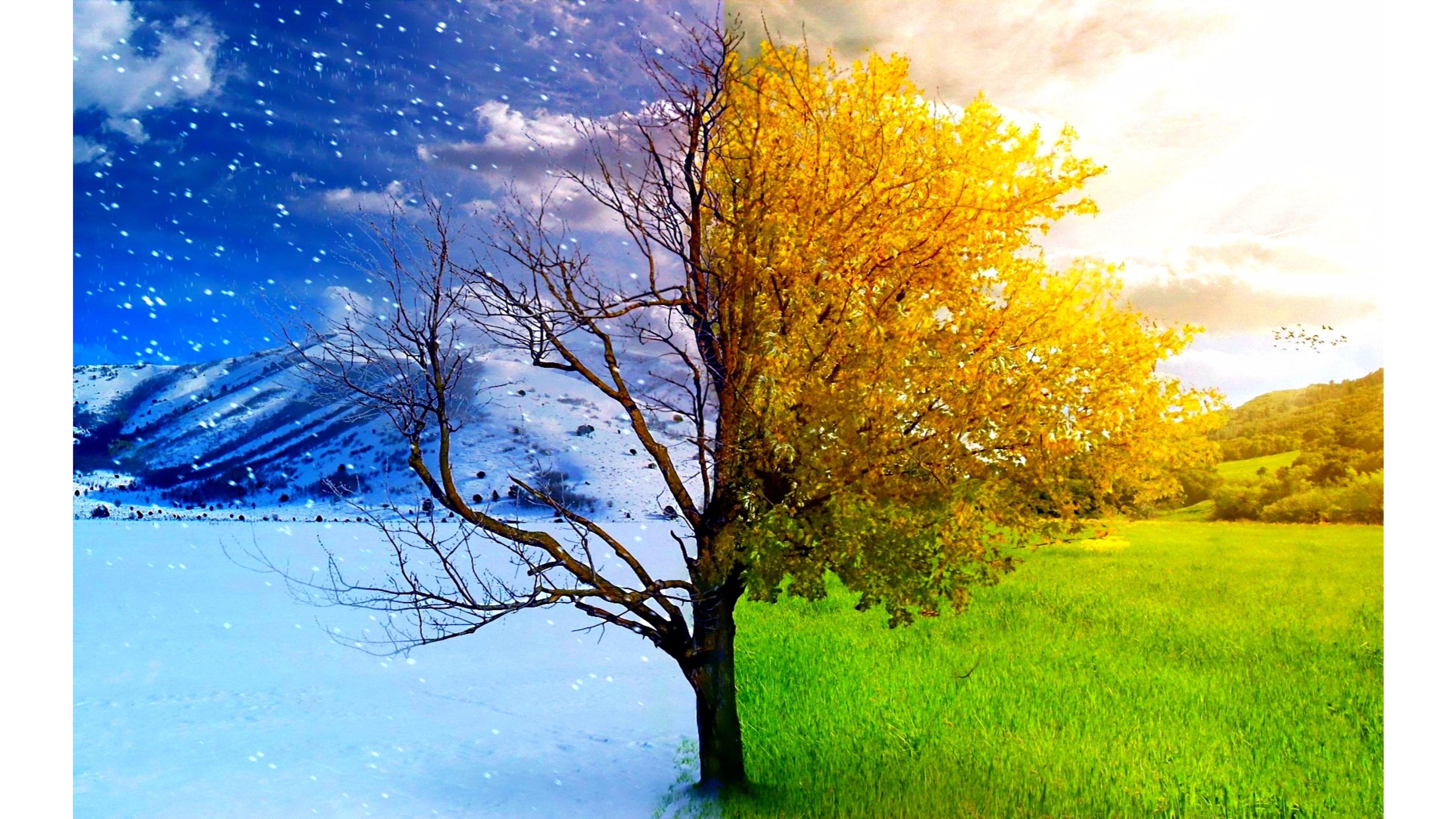 4k Wallpaper Desktop Winter