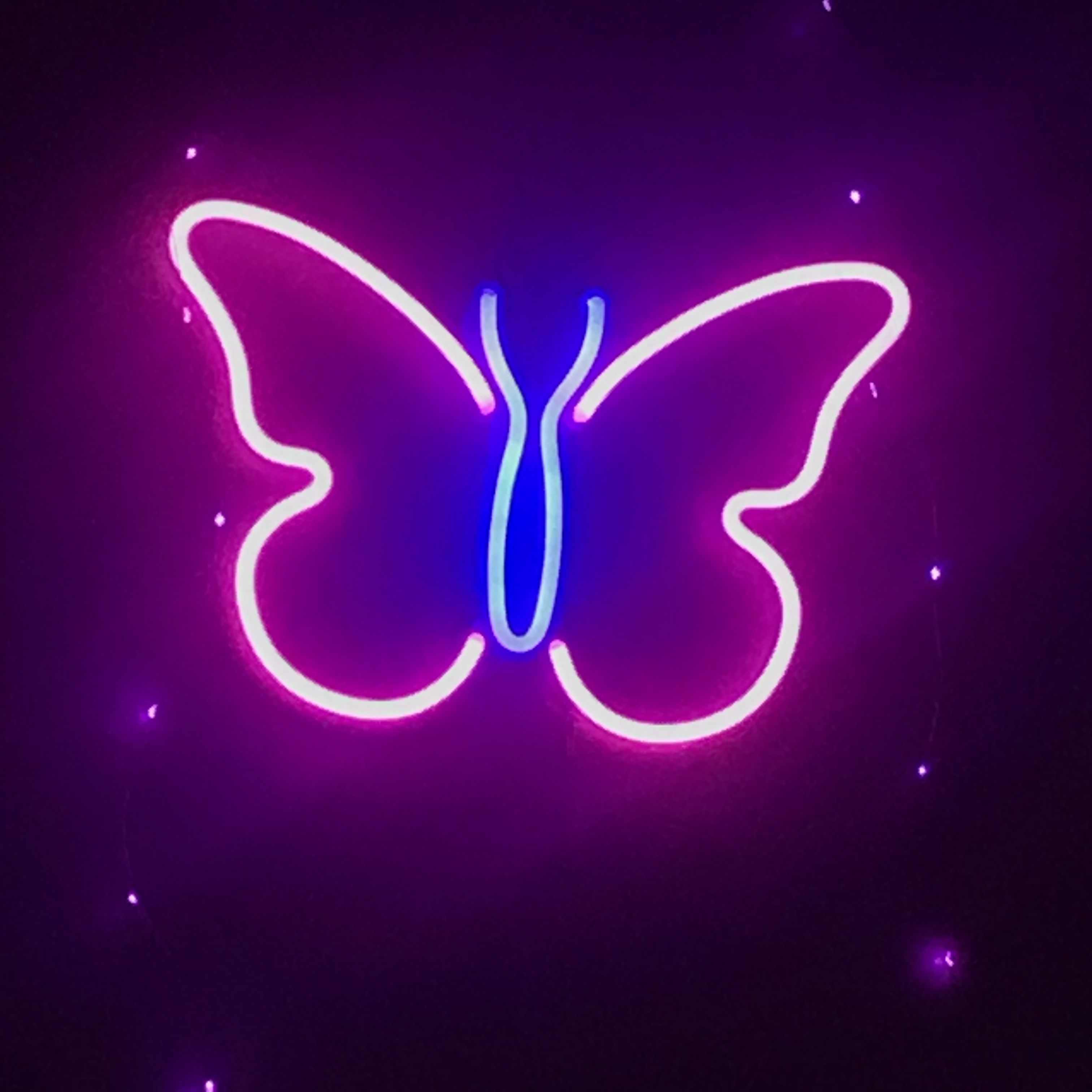 Butterfly neon sign