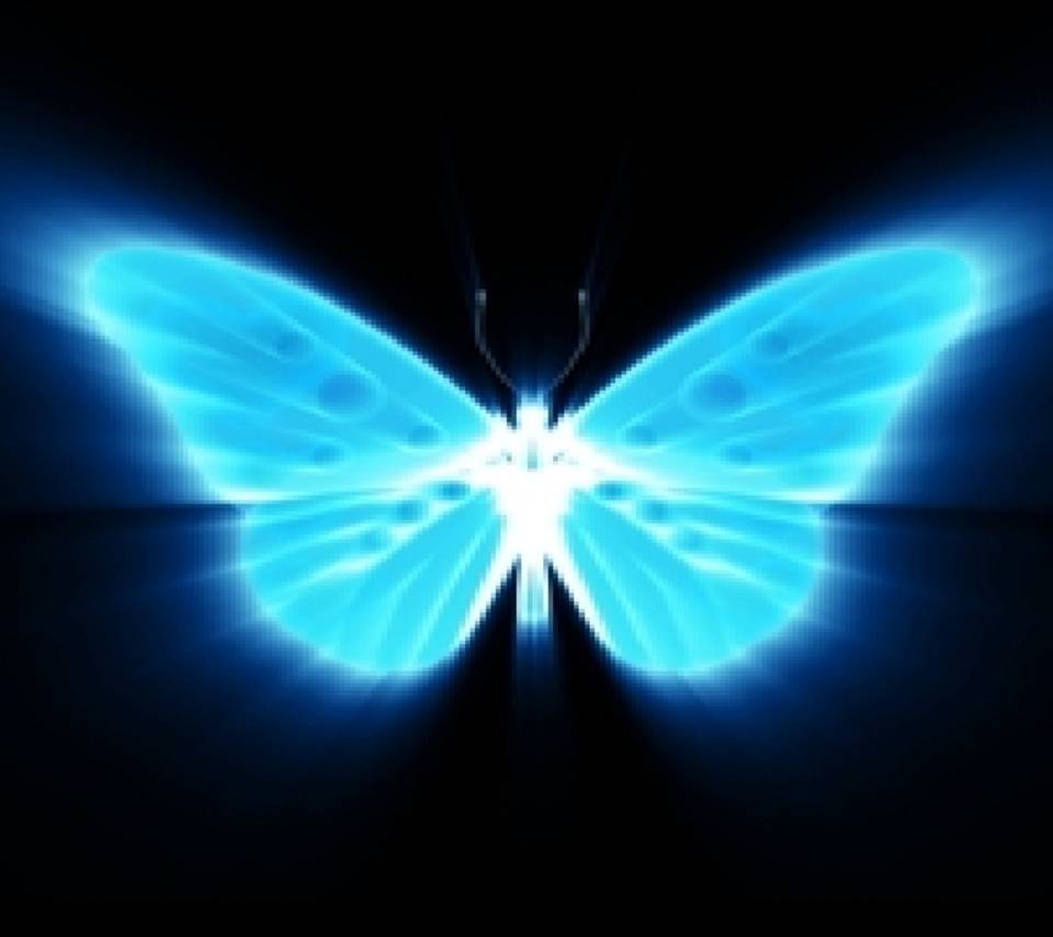 Neon Green Butterflies Wallpapers posted by Christopher Thompson