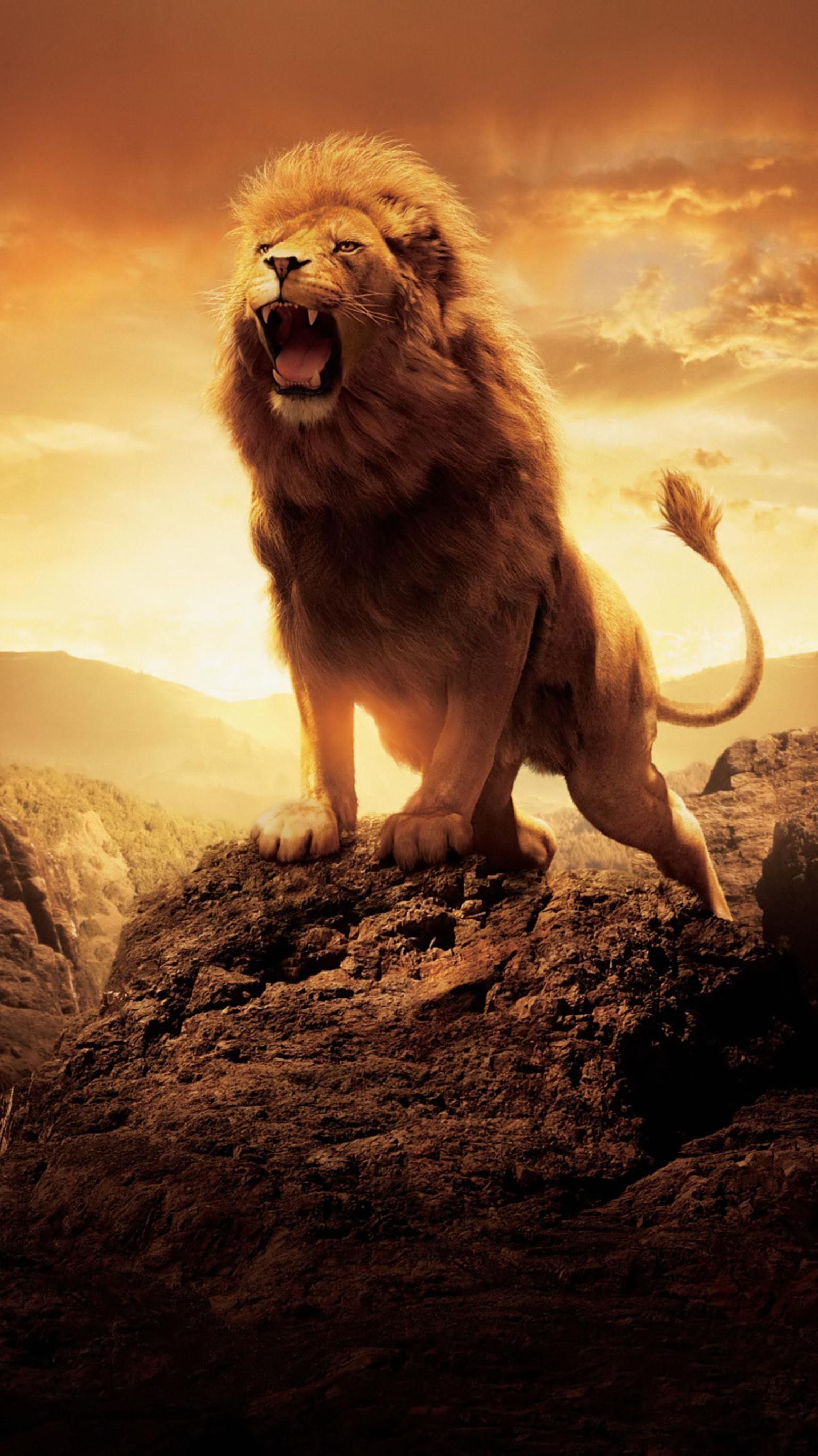 Moviemania High Resolution Movie Wallpaper. Lion Image, Lion Picture, Narnia Lion