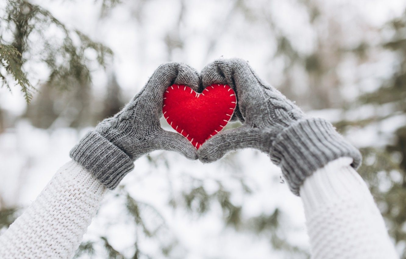 Wallpaper winter, snow, love, heart, tree, red, love, heart, winter, mittens, snow, romantic, hands, valentine, fir tree image for desktop, section настроения