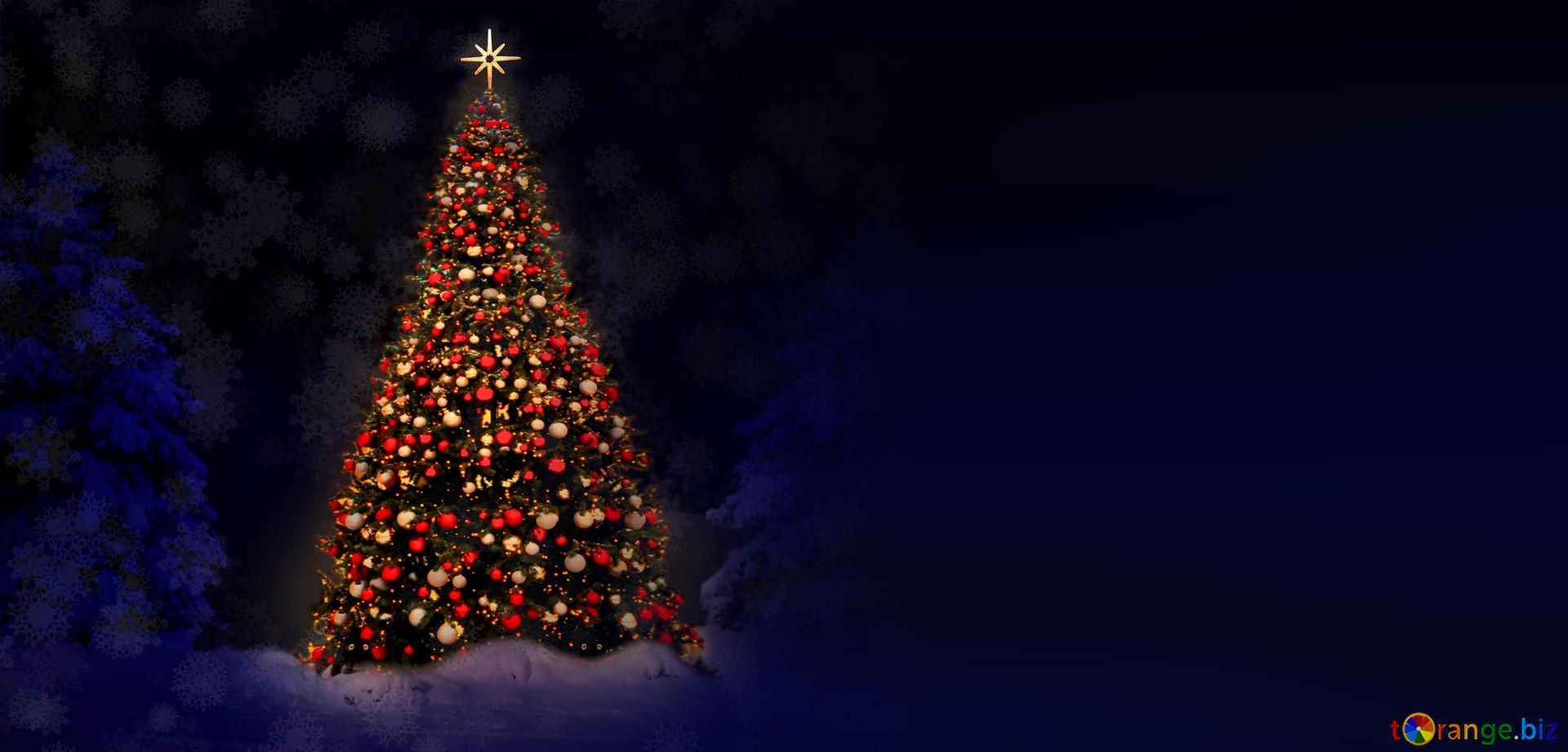 Download Free Picture Christmas Tree Blur Right Side Background On CC BY License Free Image Stock TOrange.biz Fx №68864