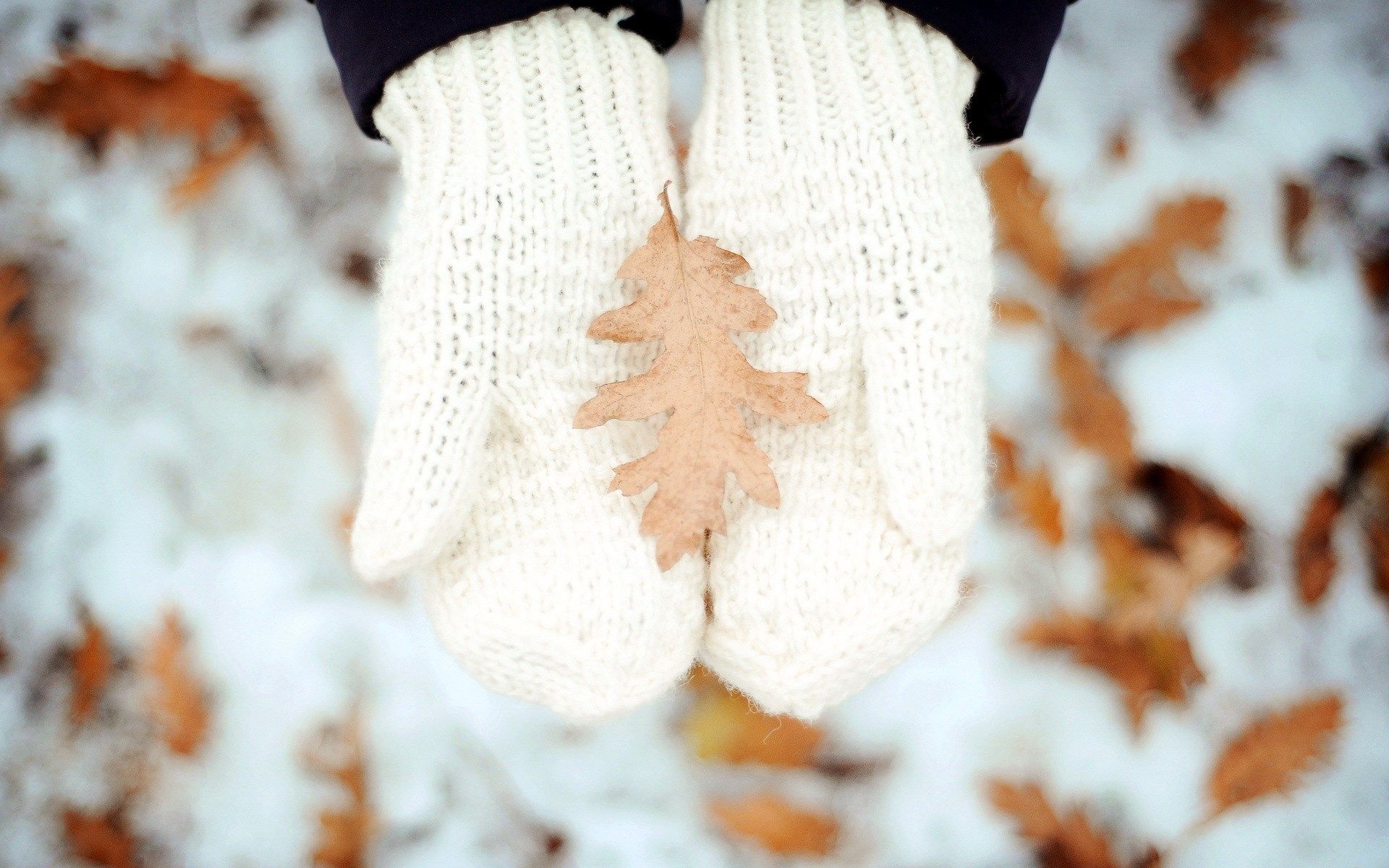 Hands Leaf Winter Snow Mood