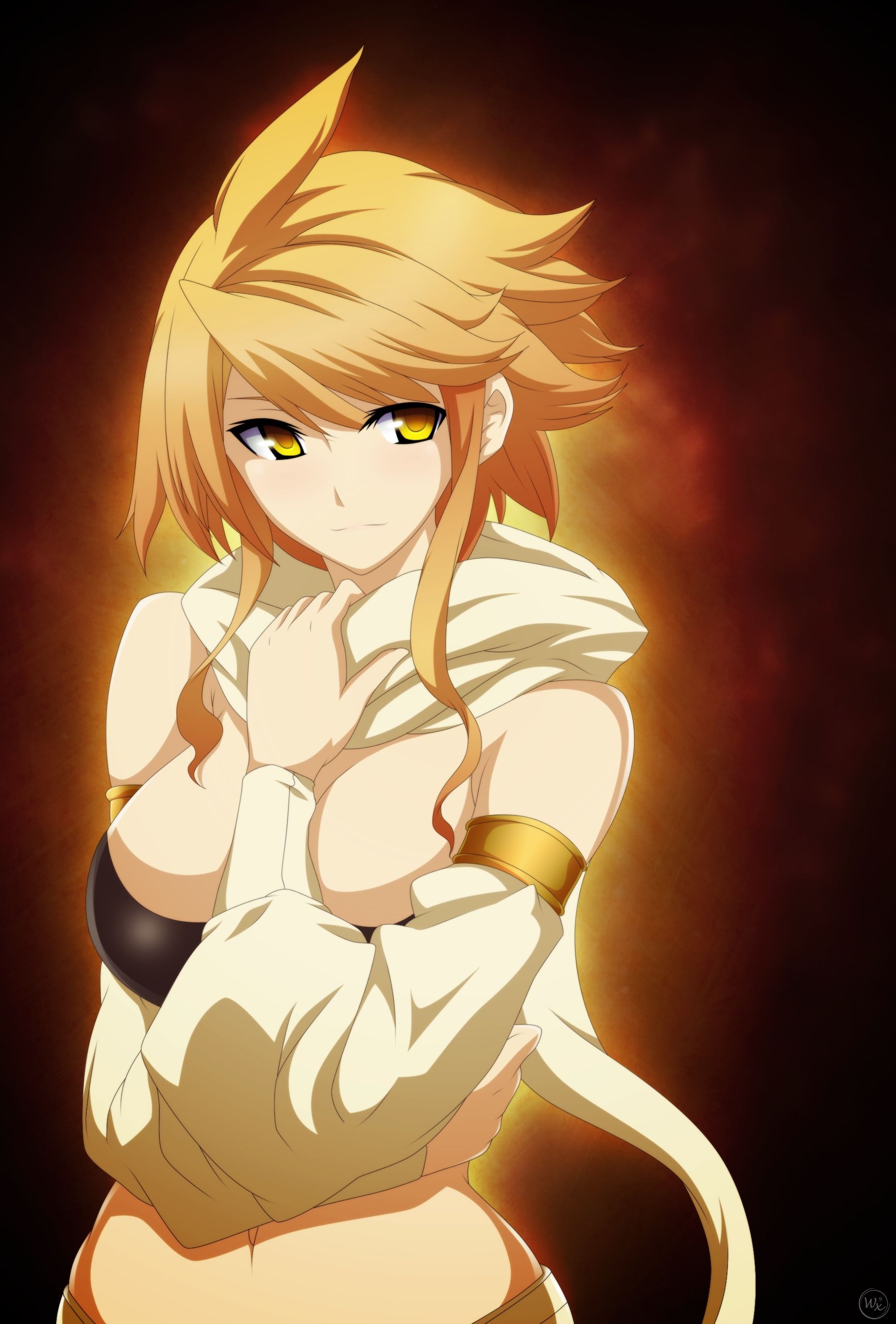 Mobile wallpaper: Anime, Leone (Akame Ga Kill!), Akame Ga Kill!, 723970  download the picture for free.