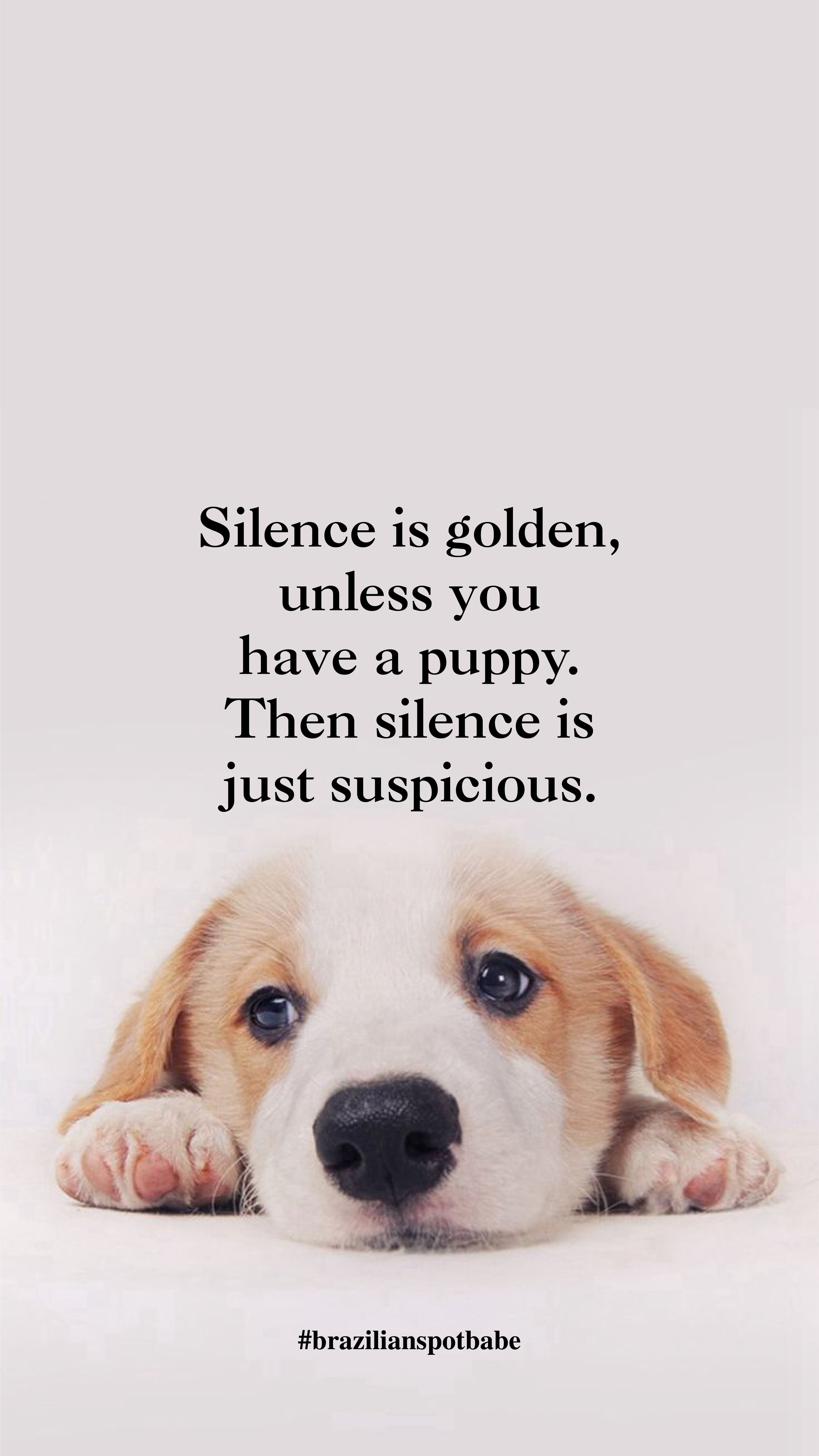 Dog Quotes Wallpapers - Wallpaper Cave