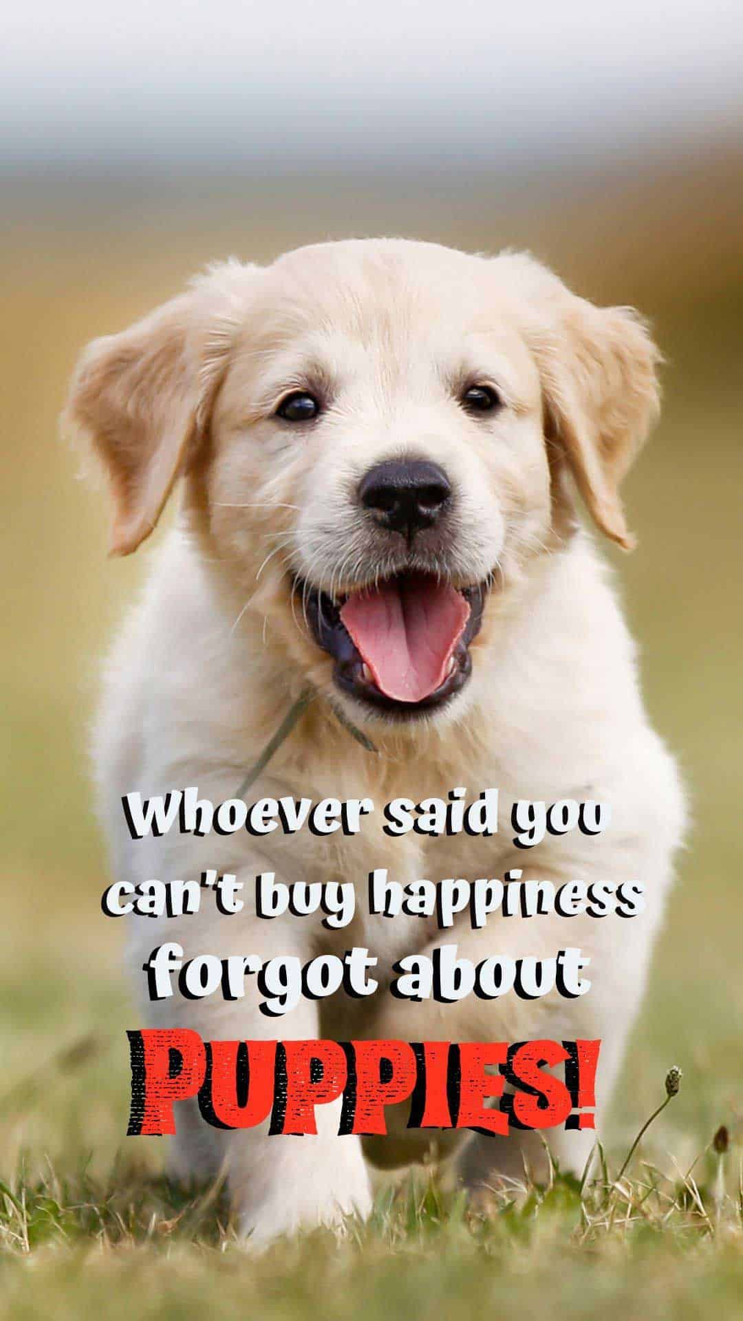 free dog wallpaper i phone and Android. 20 HD Sized homescreen wallpaper Dog Picture. Puppy quotes, Cute dog quotes, Puppy quotes funny