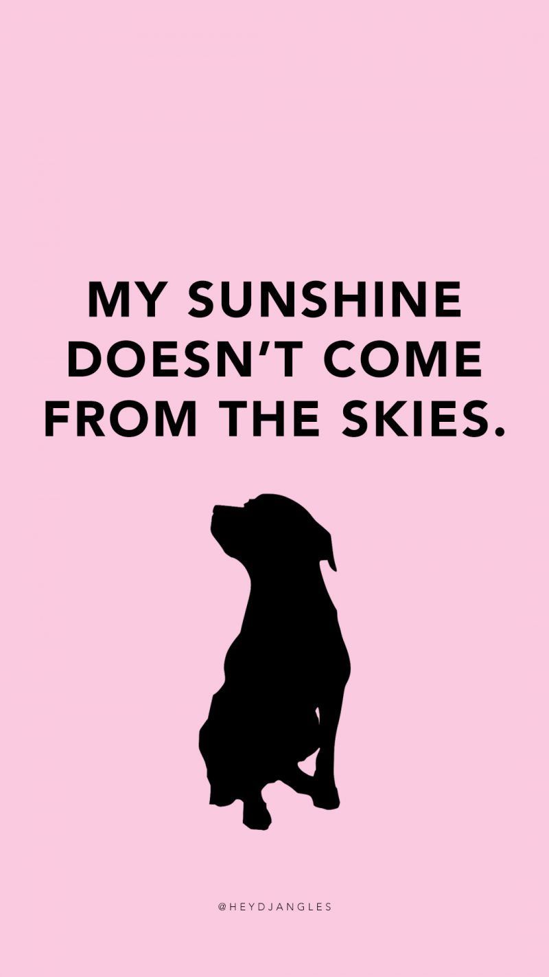 Dog Quotes Wallpapers - Wallpaper Cave