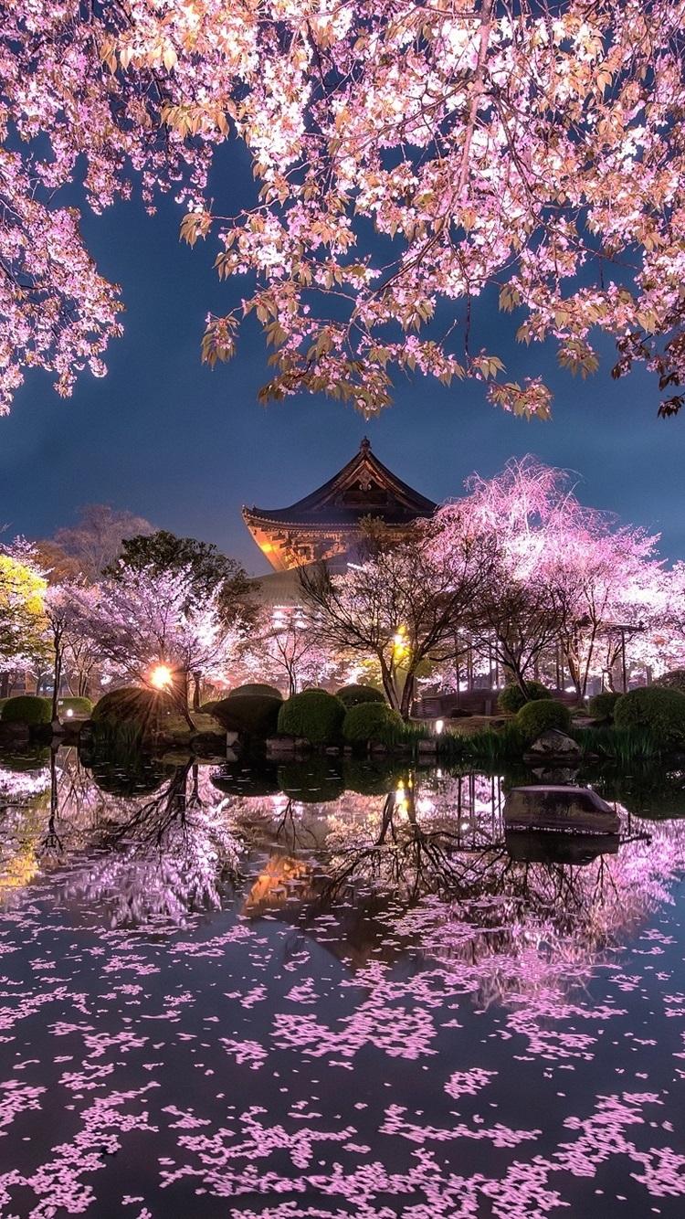 iPhone Wallpaper Japan Cherry Blossom