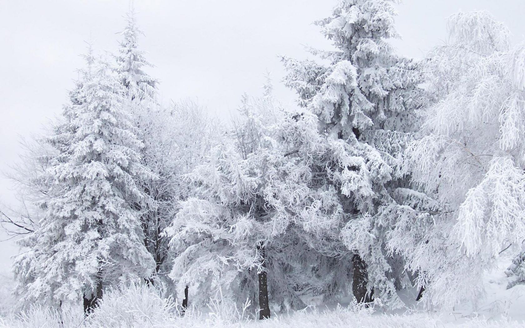 Free download Snow Winter Fantasy Mac HD Wallpaper January Mac Background Nature [1920x1080] for your Desktop, Mobile & Tablet. Explore Winter Wallpaper For Mac. Winter Wallpaper For Computer, Free