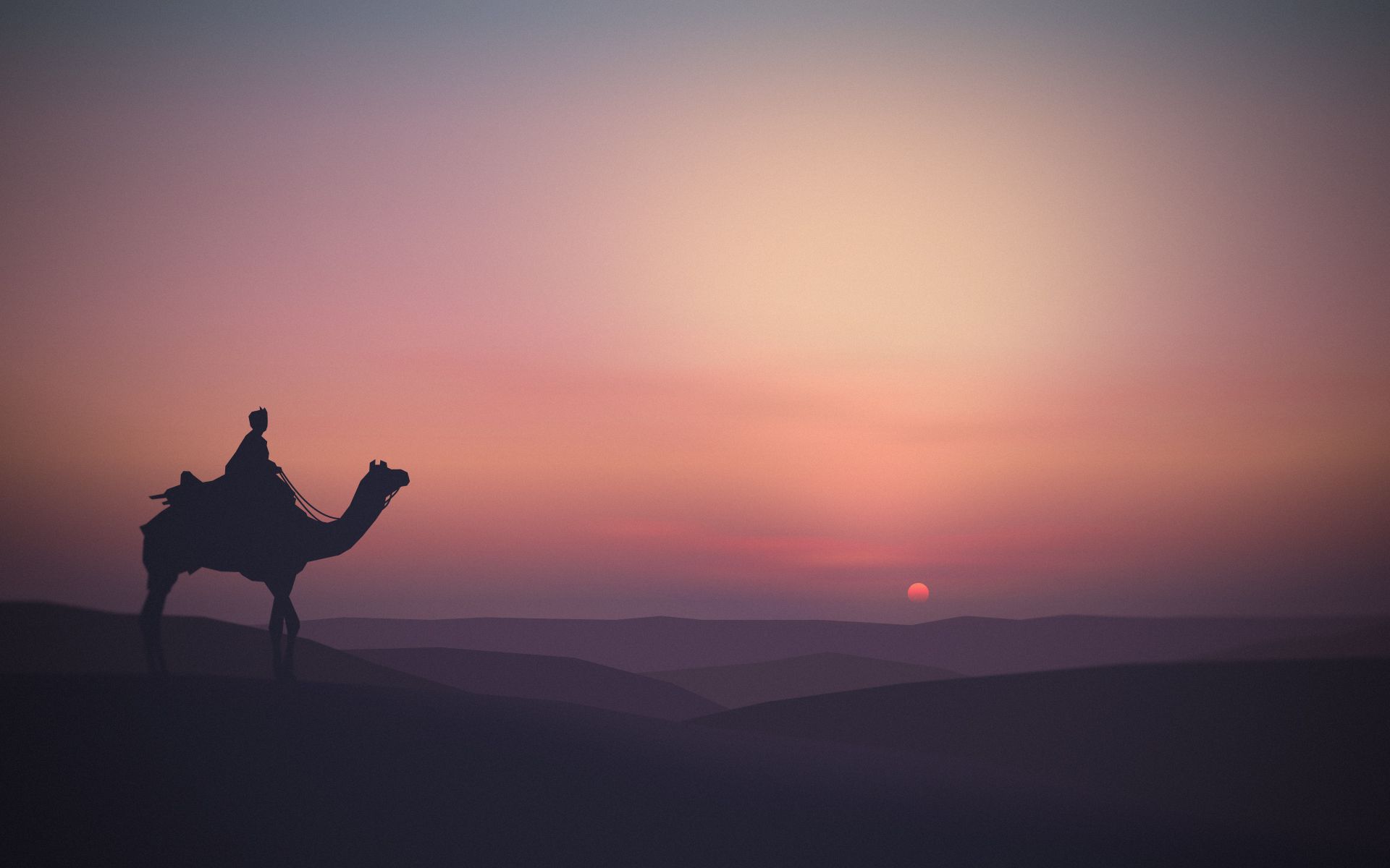 Camel Desert Minimalist, HD Artist, 4k Wallpaper, Image, Background, Photo and Picture