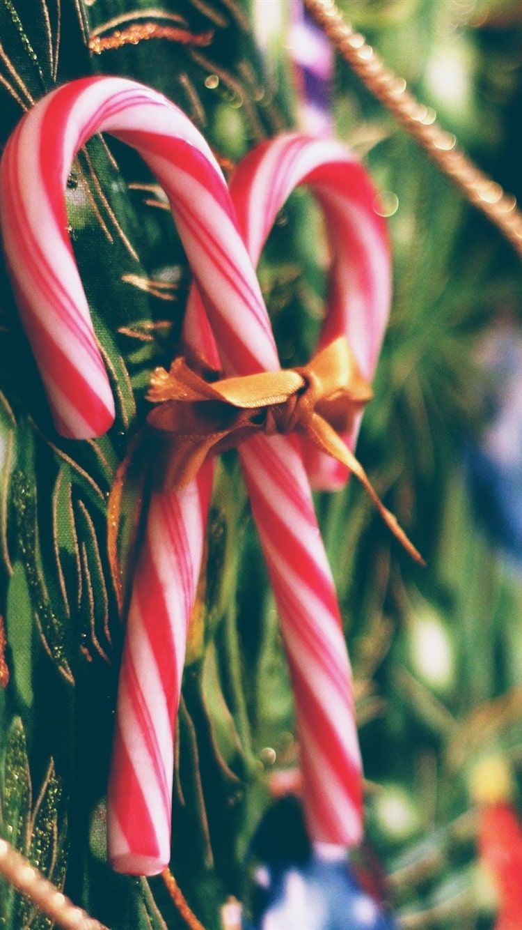 iPhone Candy Cane Wallpaper Free HD Wallpaper
