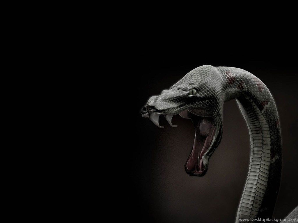 Black Monster Snake 3D Wallpaper HD Desktop Background