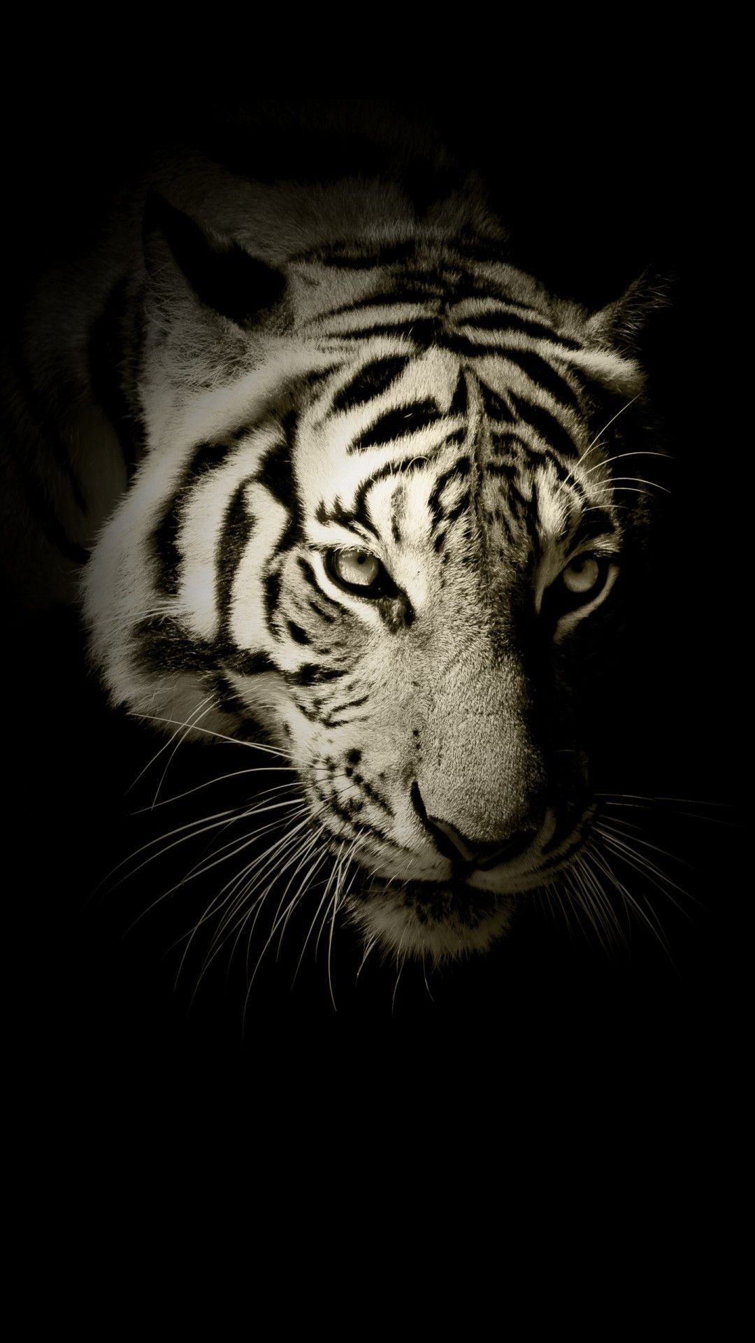 Black And White Tiger Phone Wallpaper. Tiger quotes, Animal wallpaper, Motivational quotes wallpaper