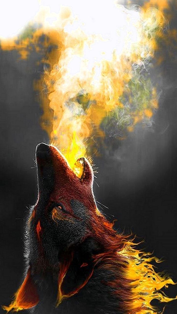 Cool Wolf Phone Wallpaper Animal Wallpaper For iPhone Wallpaper & Background Download