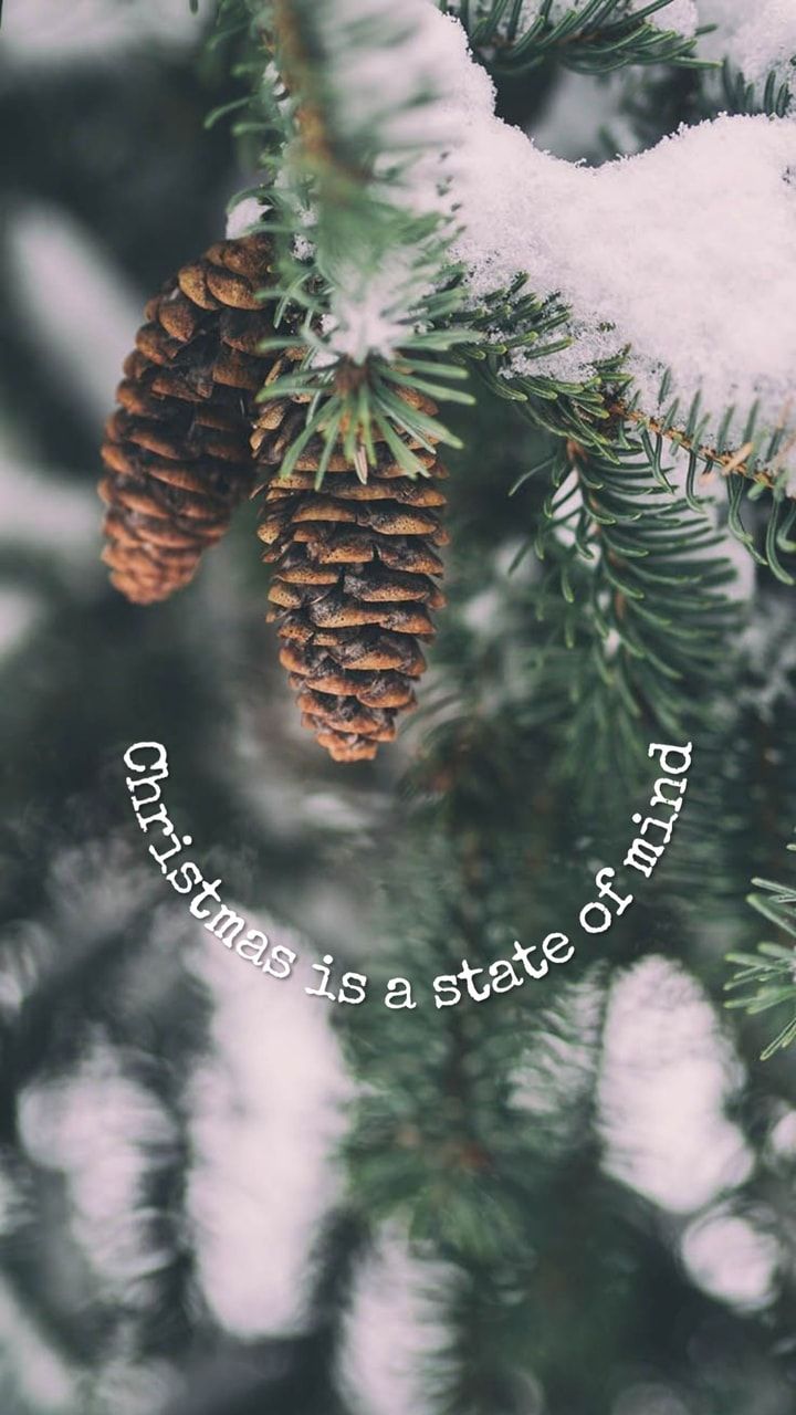 Beautiful Winter Tumblr Christmas Aesthetic Wallpaper image