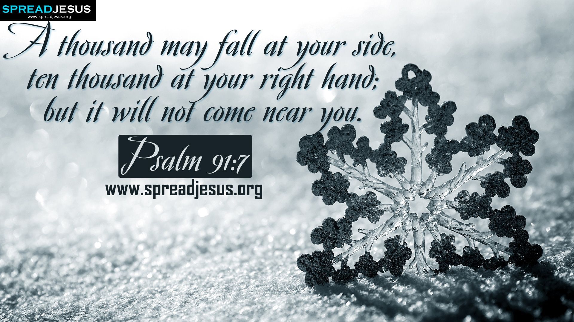 Psalm 91:7 BIBLE QUOTES HD WALLPAPERS FREE DOWNLOAD. Bible Quotes Hd, Bible Quotes, Psalm 91