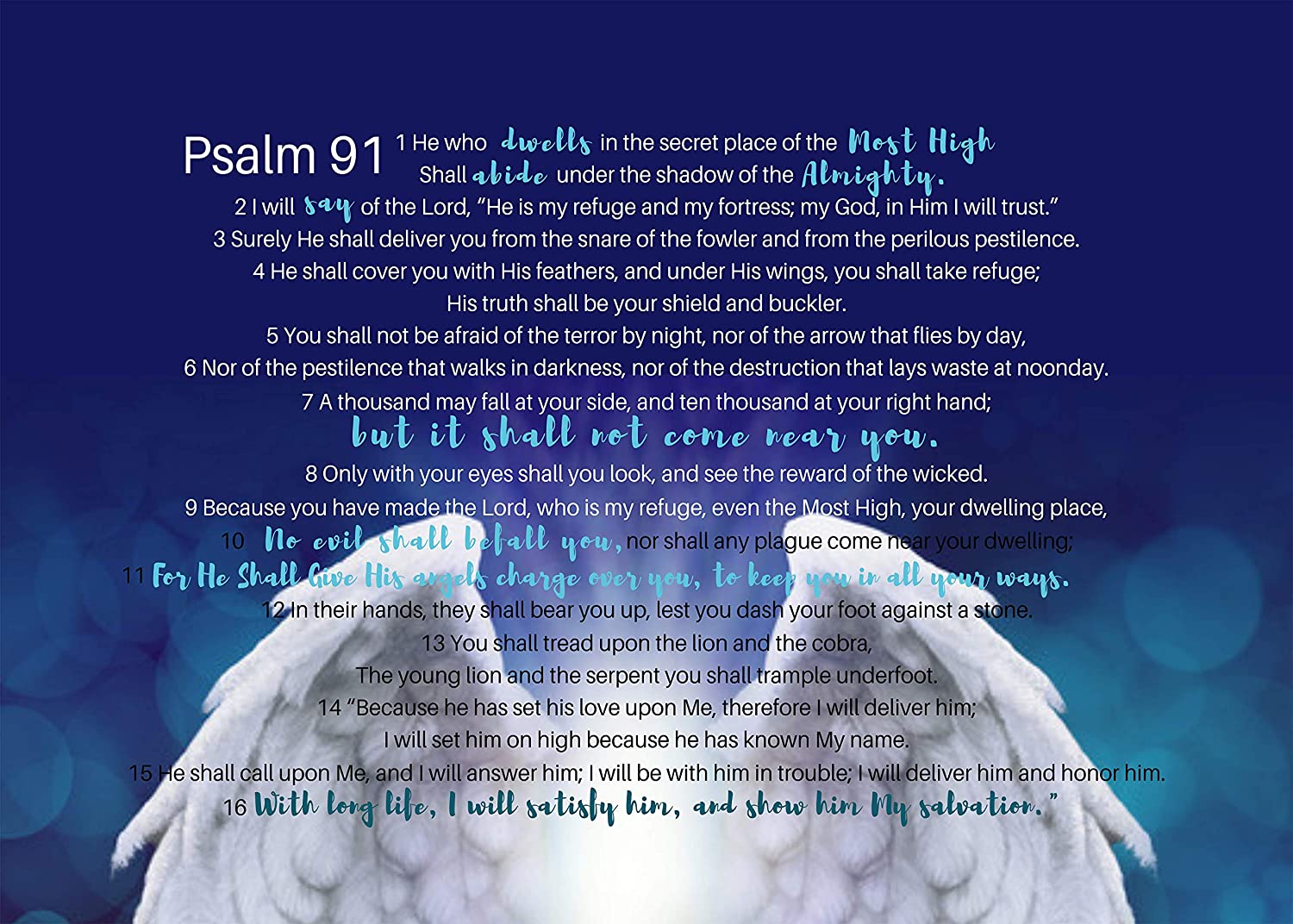Psalm 91 Quality Gallery Wrapped Canvas 20 X 16: Posters & Prints