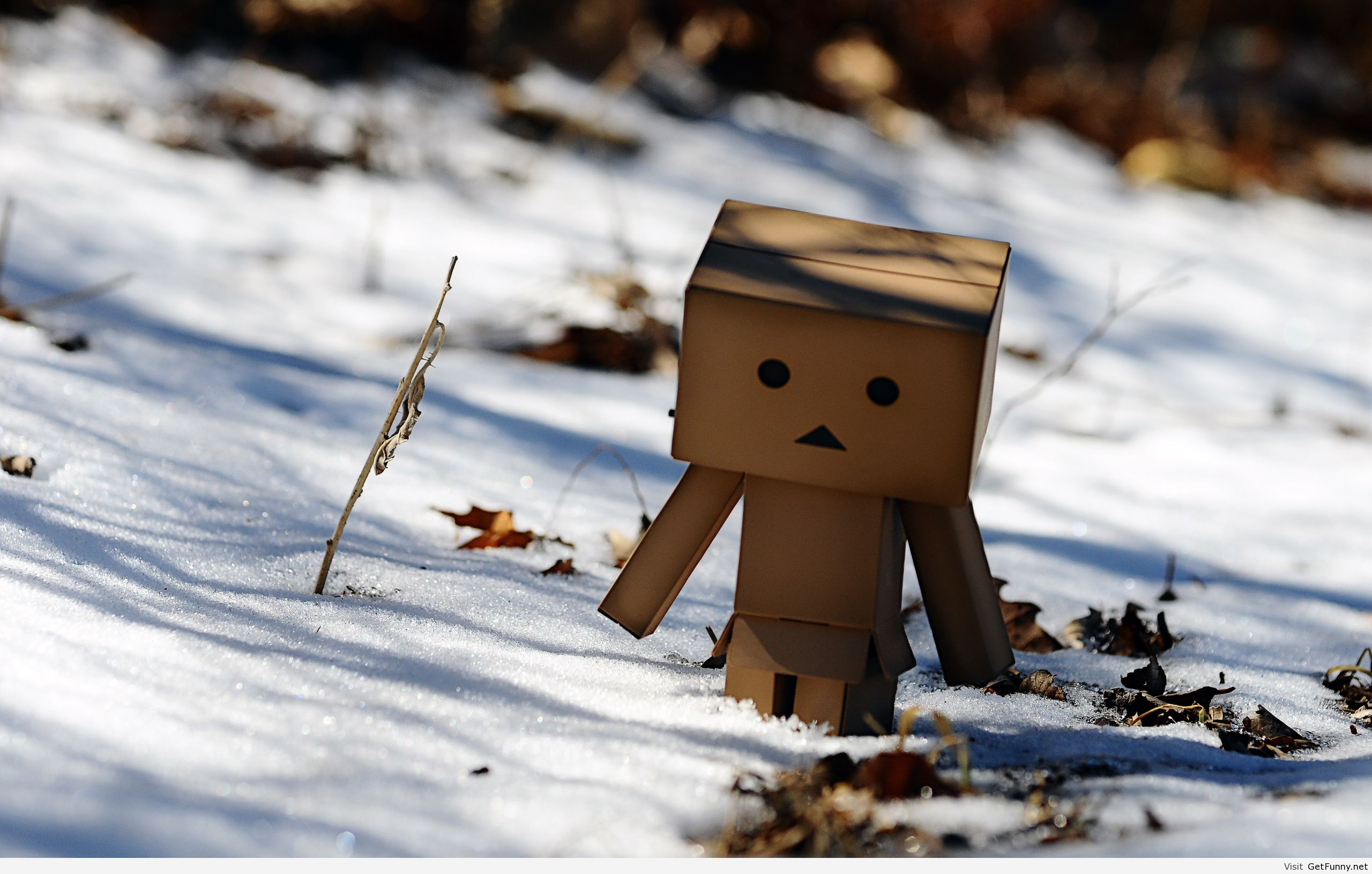 Funny Winter Wallpaper