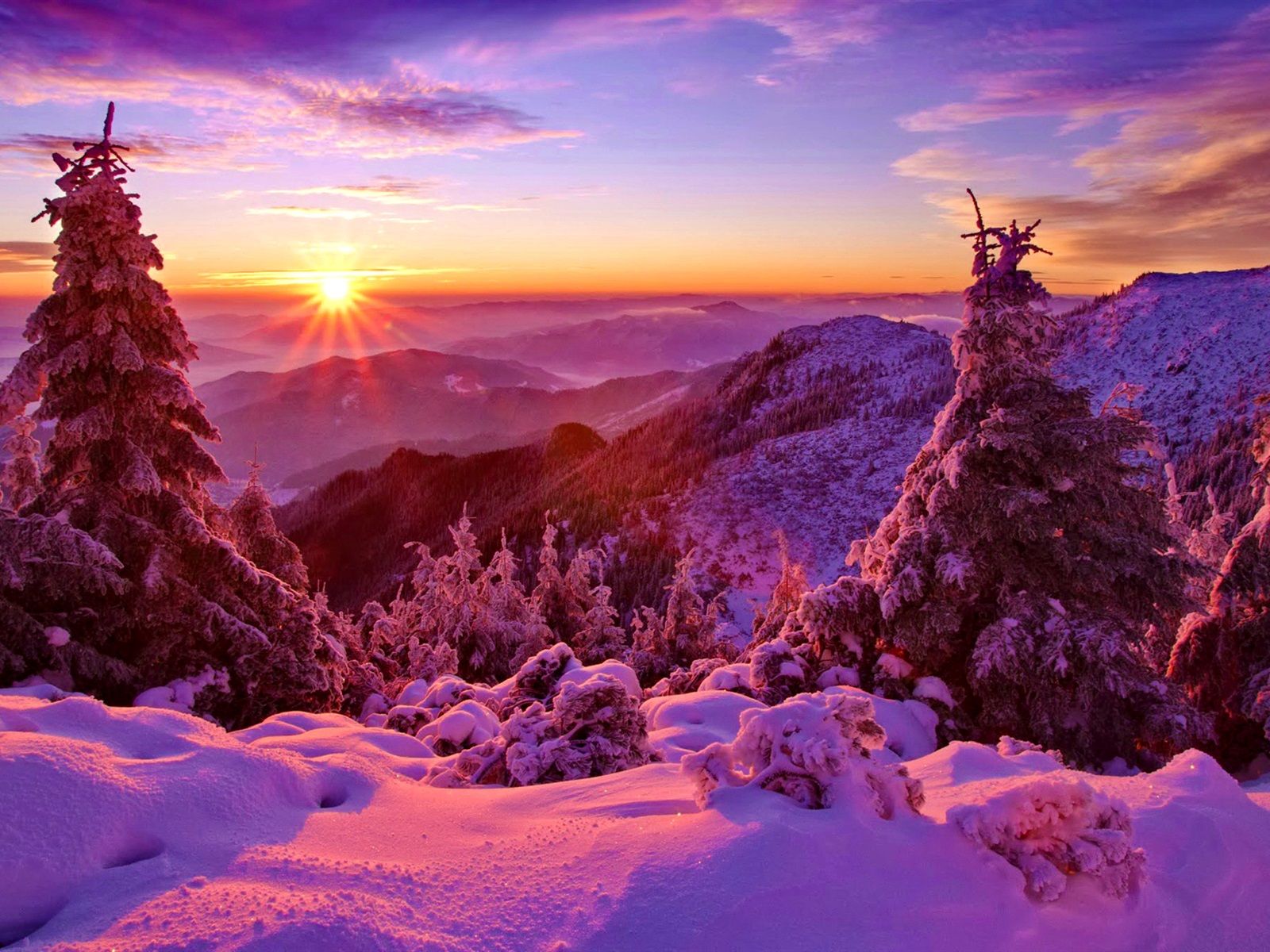 Winter, Sky, Sunset, Mountains, Forest, Trees, Spruce, Snow 640x1136 IPhone 5 5S 5C SE Wallpaper, Background, Picture, Image
