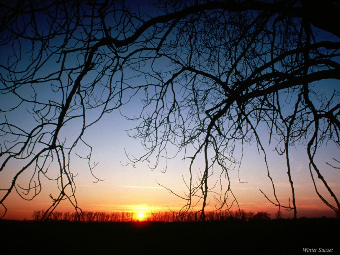 Sunset Wallpaper, Nature Wallpaper, Natural Scene, Sunset HD Wallpaper