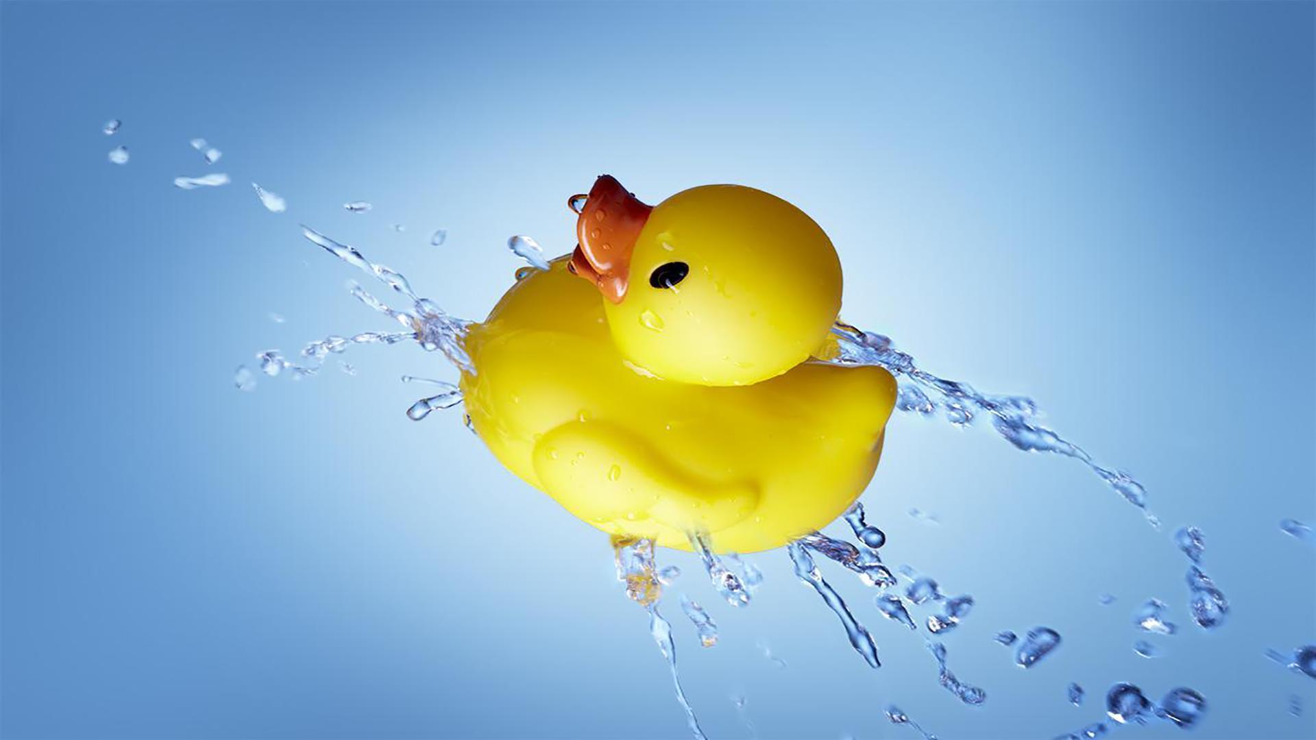 Rubber duck. Live Wallpaper for Android