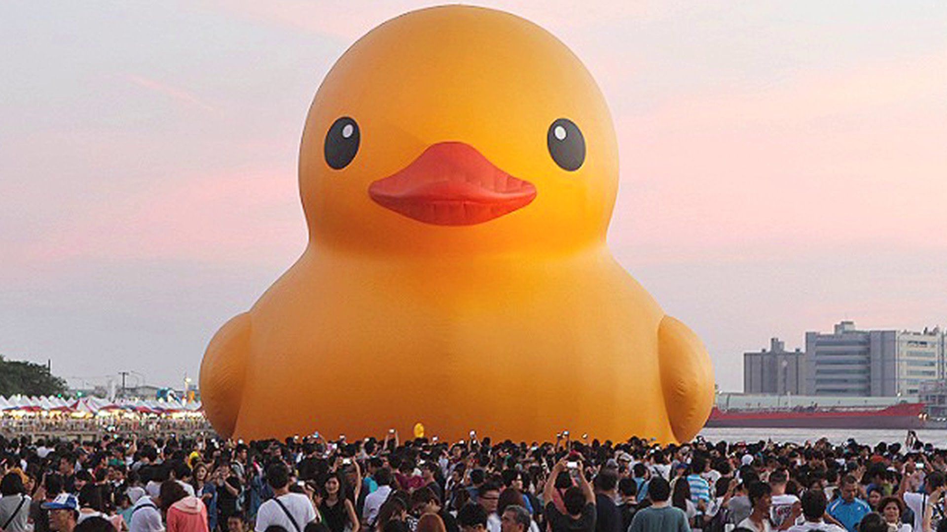 Free download Giant Rubber Ducky Wallpaper Image Picture Becuo [1920x1080] for your Desktop, Mobile & Tablet. Explore Giant Rubber Duck Wallpaper. Duck Wallpaper, Akron Rubber Ducks Wallpaper