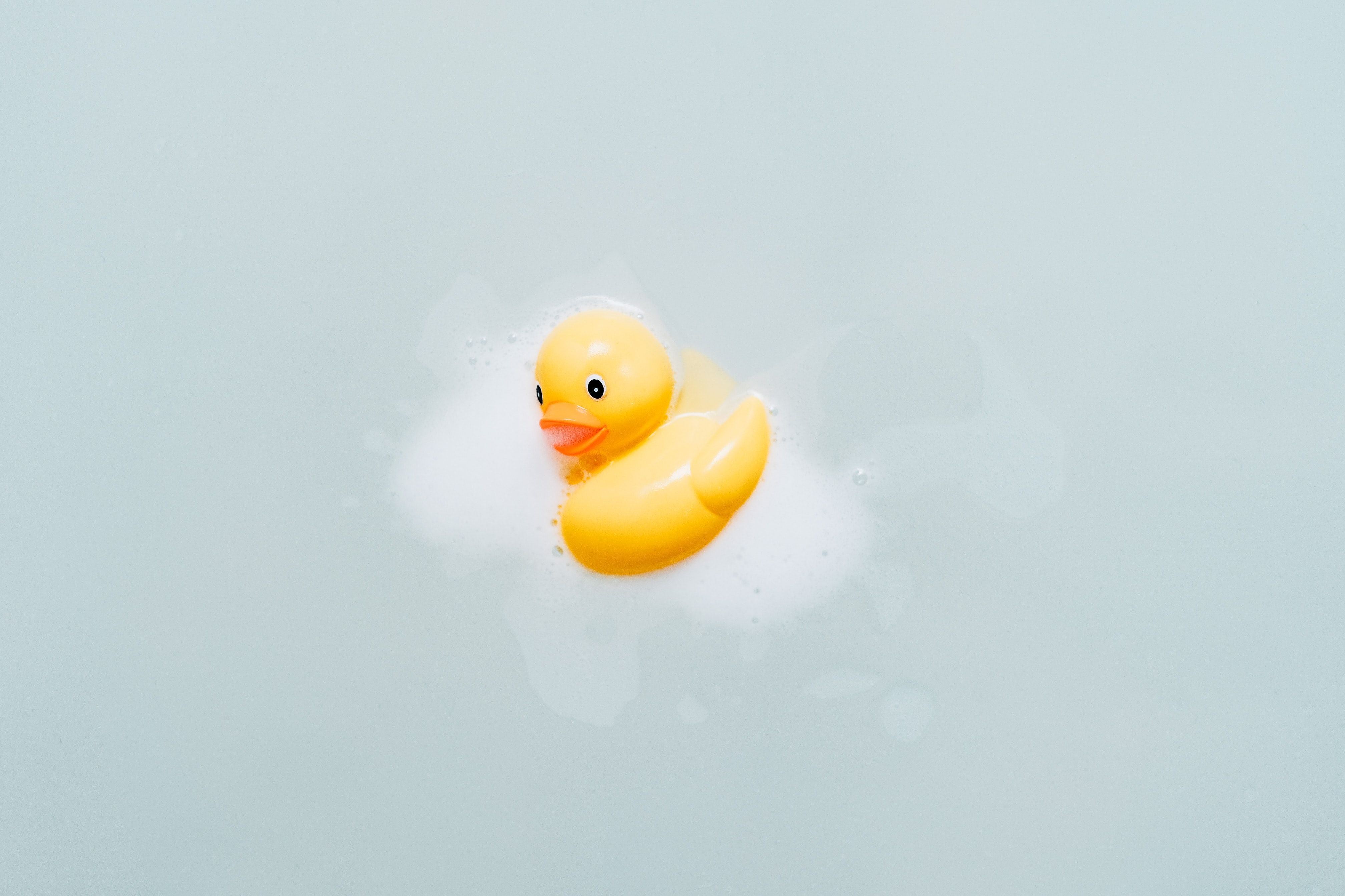 yellow bath duck photo