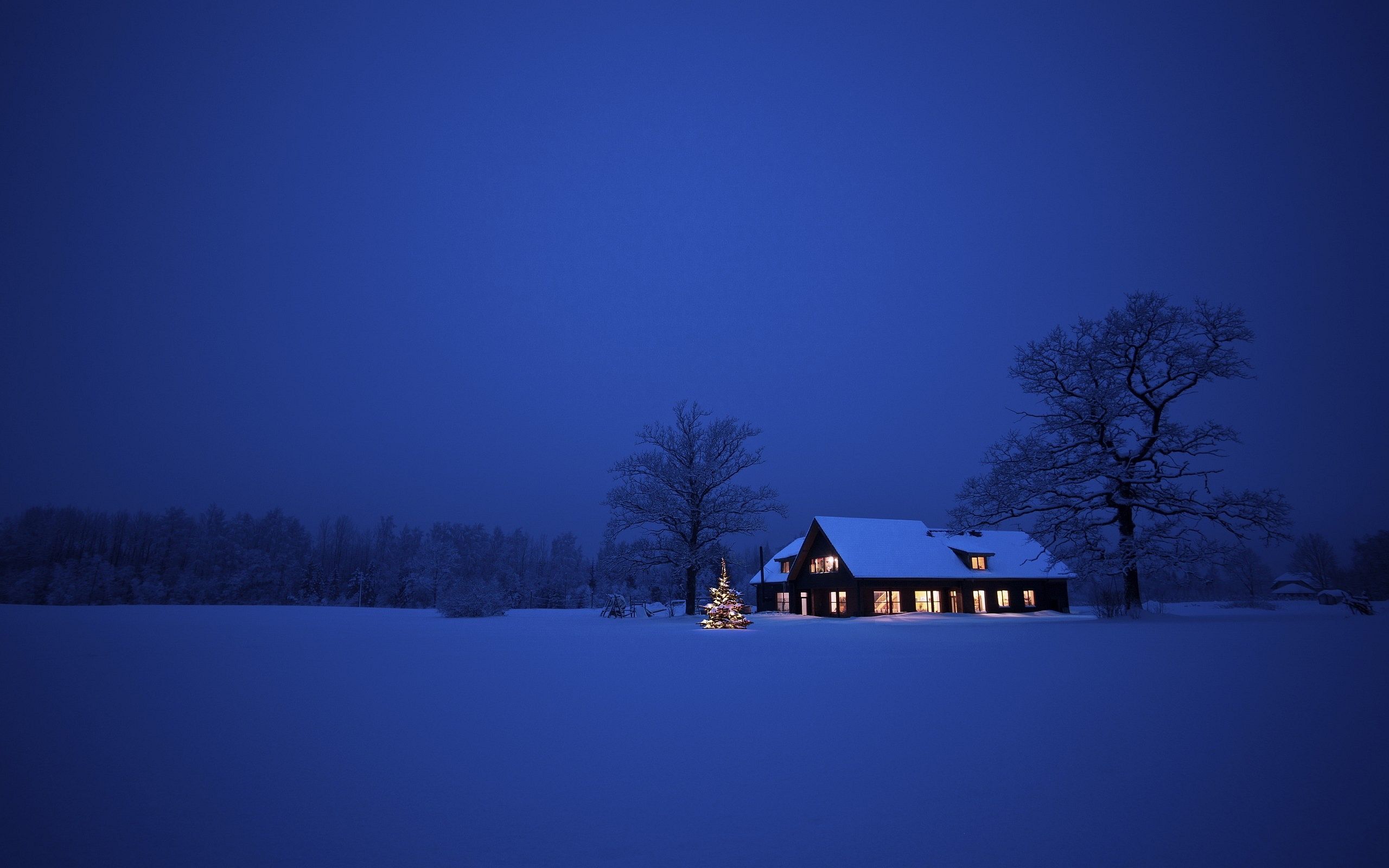 Winter Night, christmas, house, snow, 2560x1600 HD Wallpaper