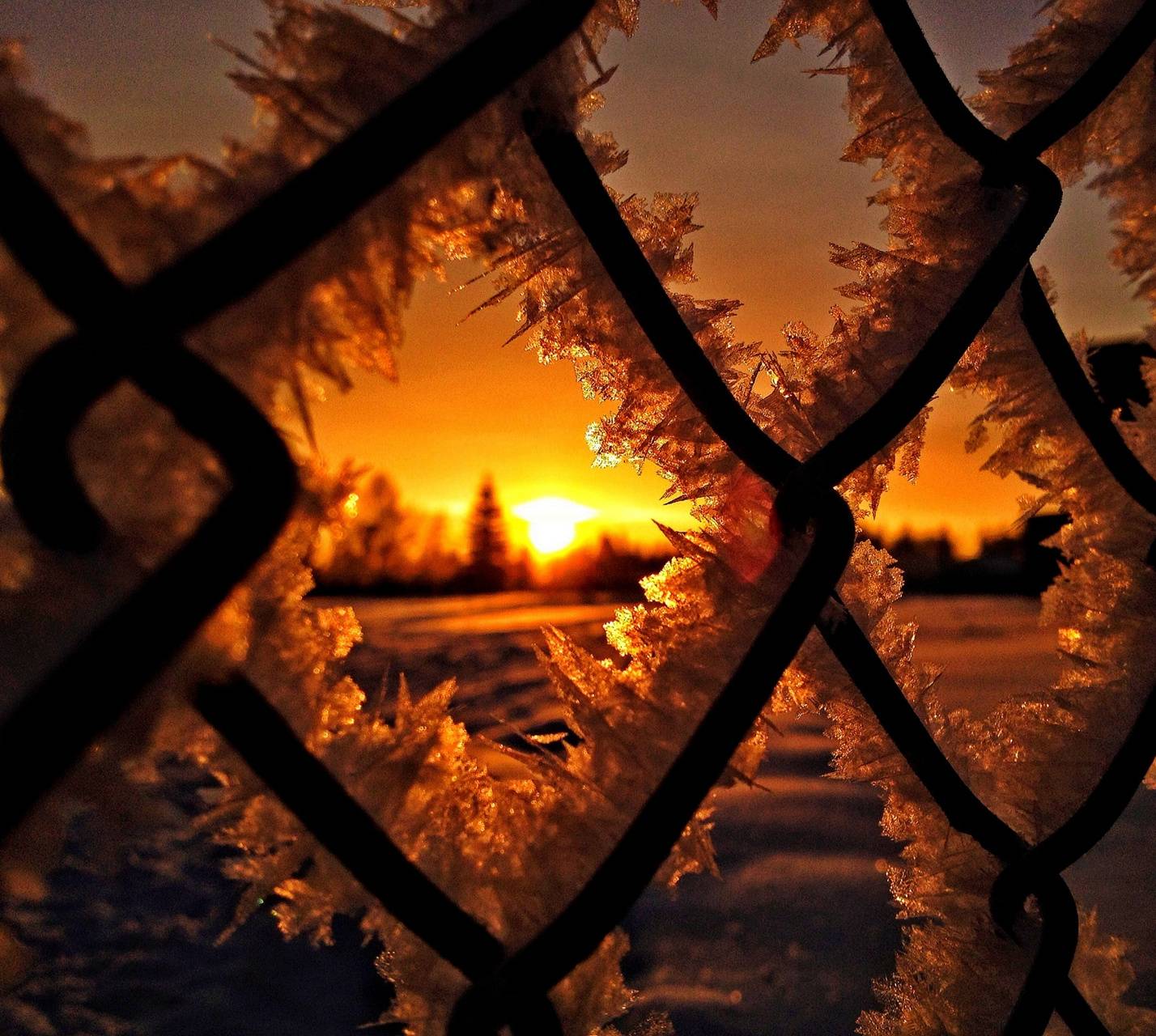 Winter Sunset wallpaper