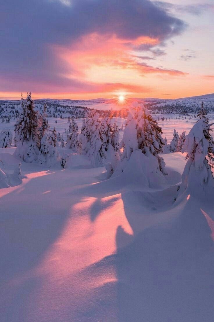 A snowy sunset. Winter scenery, Winter landscape, Winter scenes