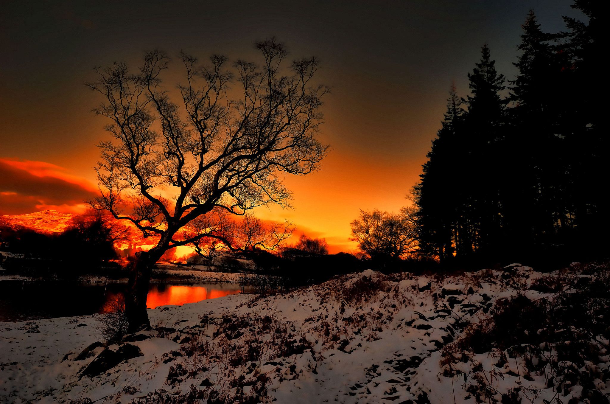 Sunset on a frosty evening. Widescreen wallpaper beautiful nature for ios. Winter